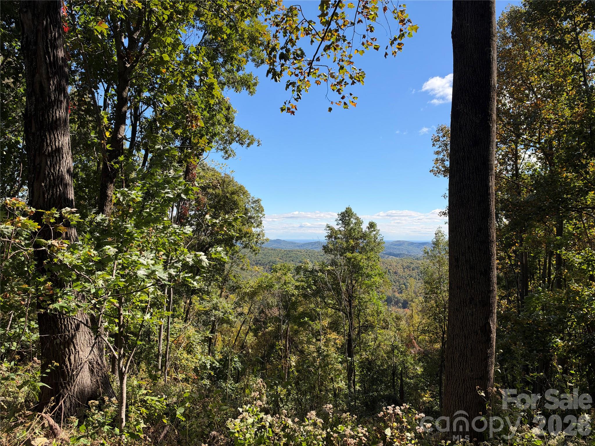 Tbd Vannoy Ridge Road Property Photo 7