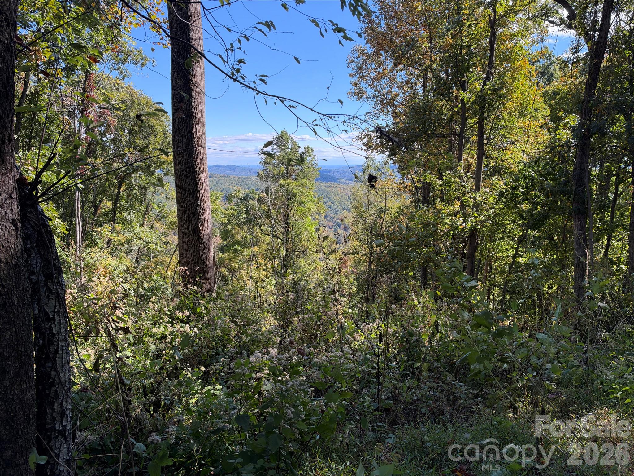 Tbd Vannoy Ridge Road Property Photo 9