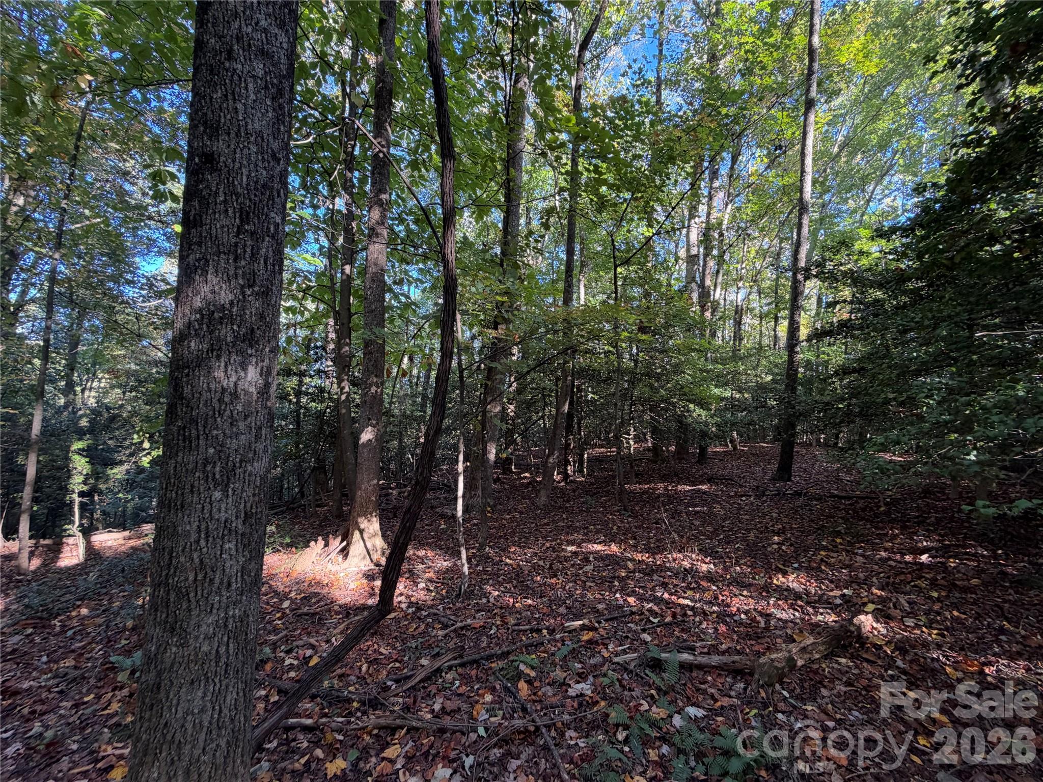 Tbd Vannoy Ridge Road Property Photo 17