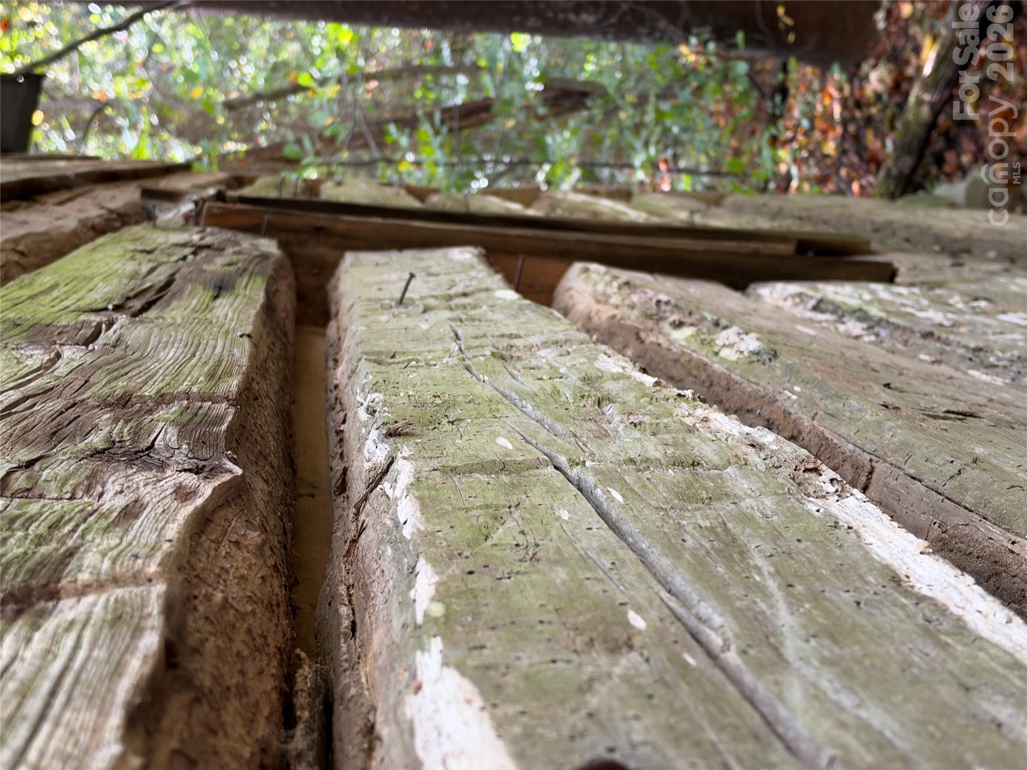 Tbd Vannoy Ridge Road Property Photo 26