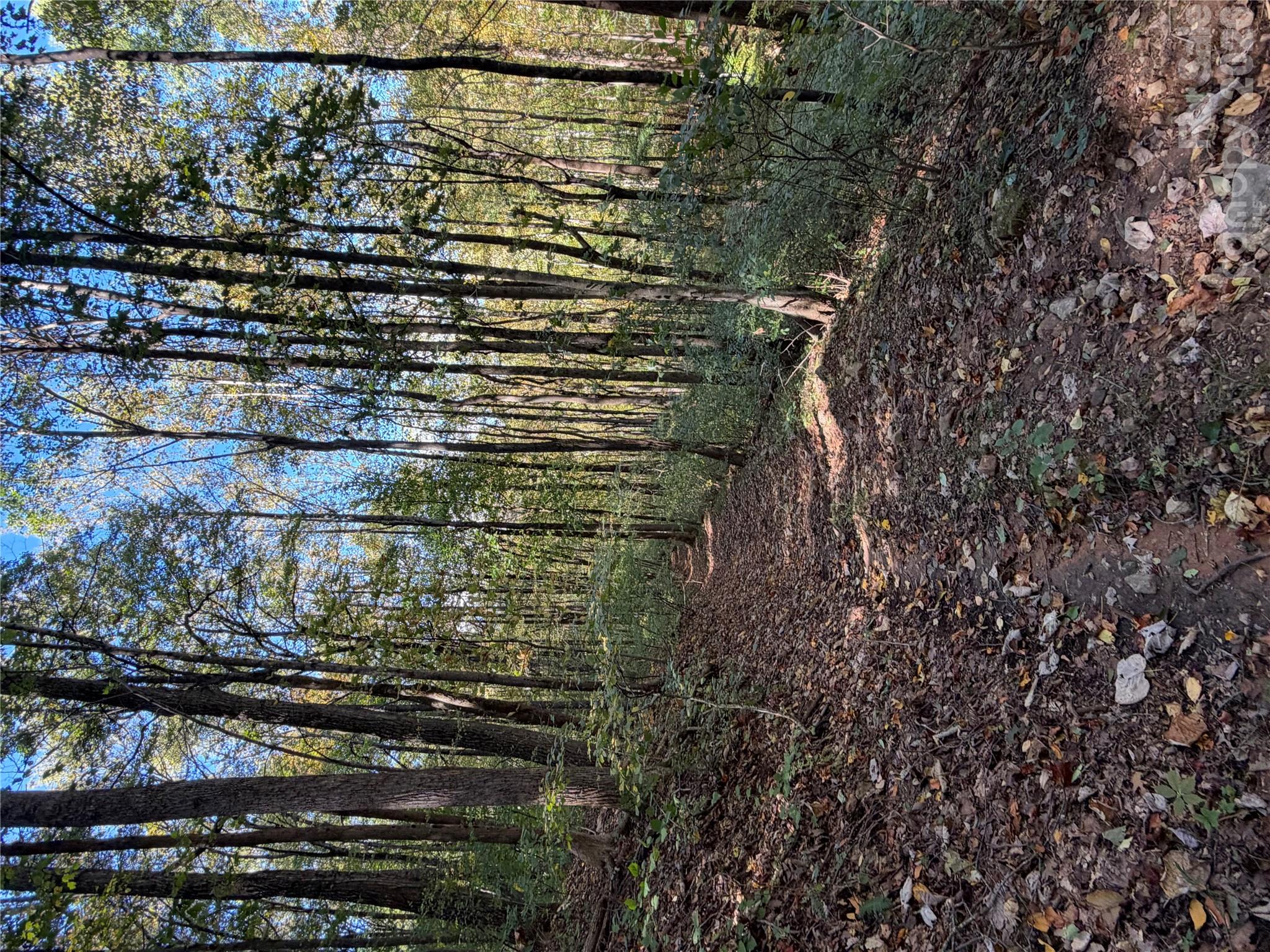Tbd Vannoy Ridge Road Property Photo 31