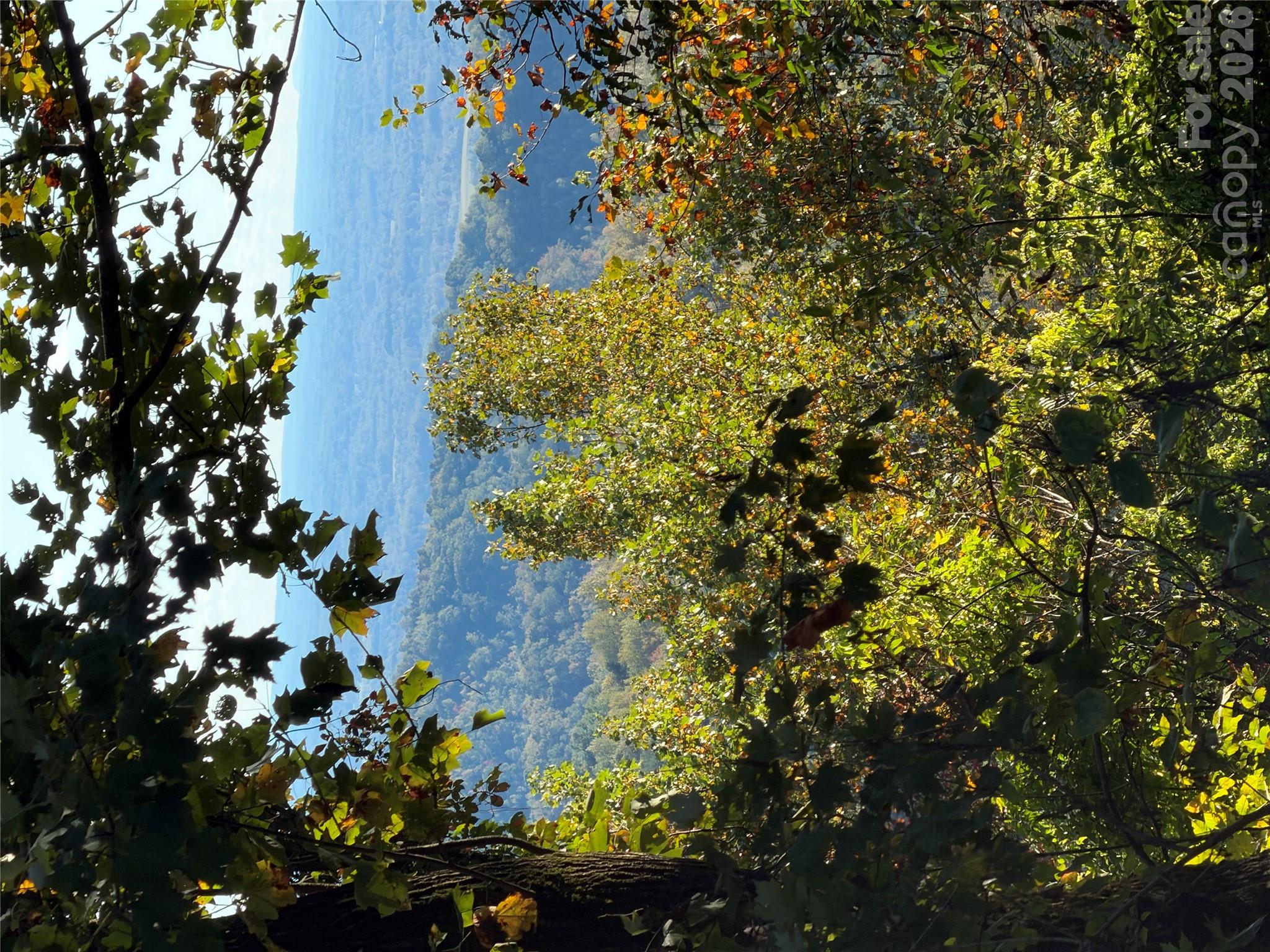 Tbd Vannoy Ridge Road Property Photo 36