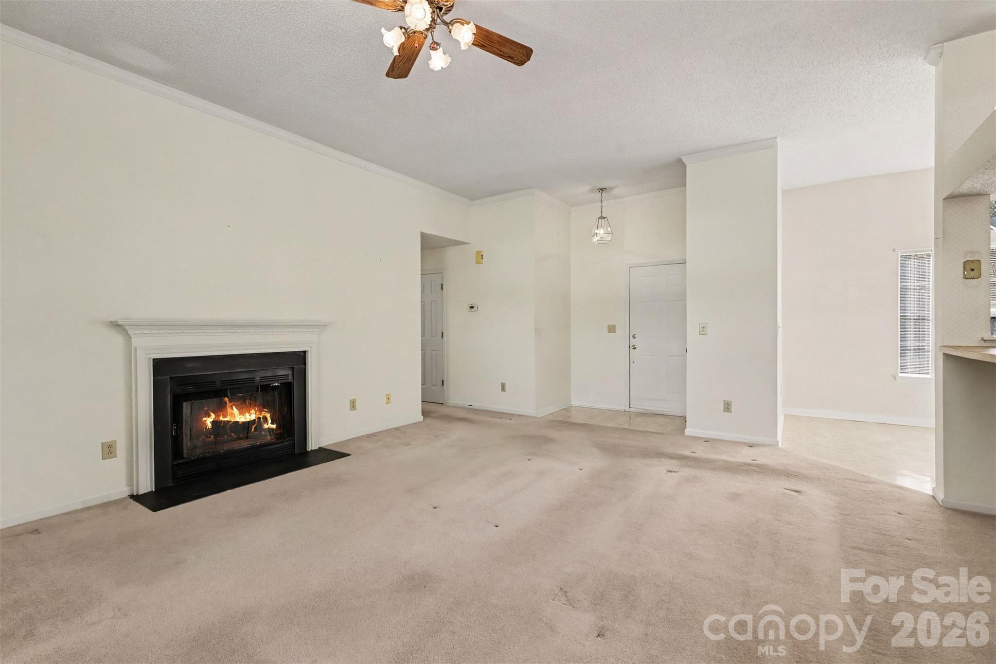 5929 Old Meadow Road Property Photo 6
