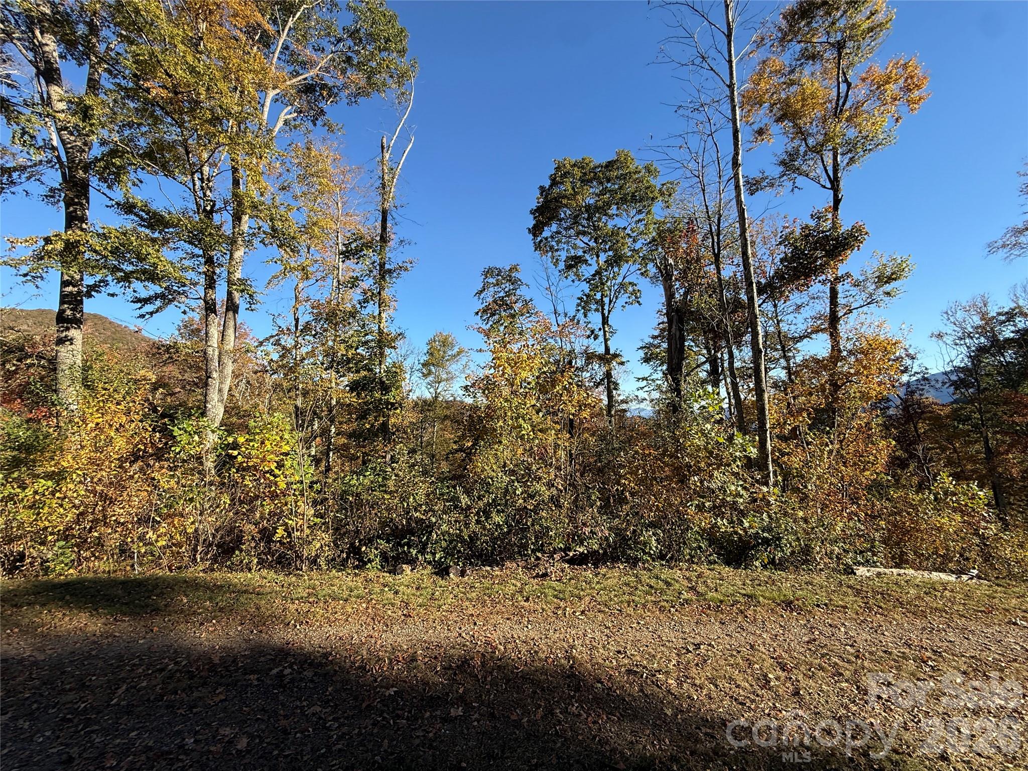 Lot 6 Ridgerunner Road Property Photo 8