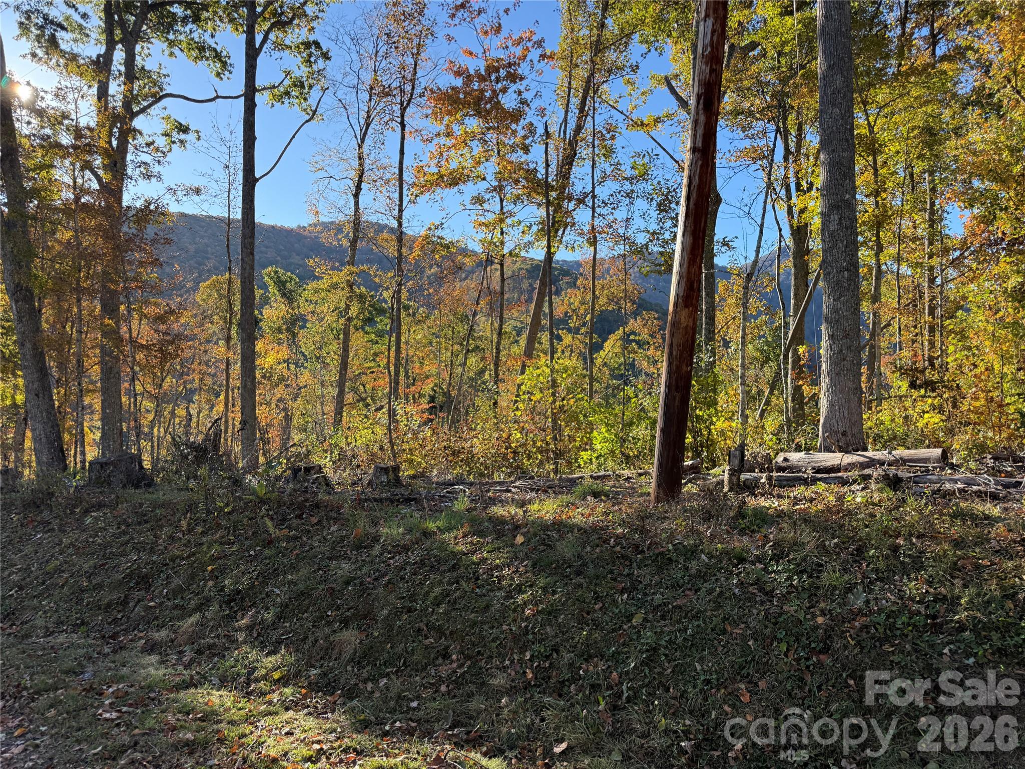 Lot 6 Ridgerunner Road Property Photo 9