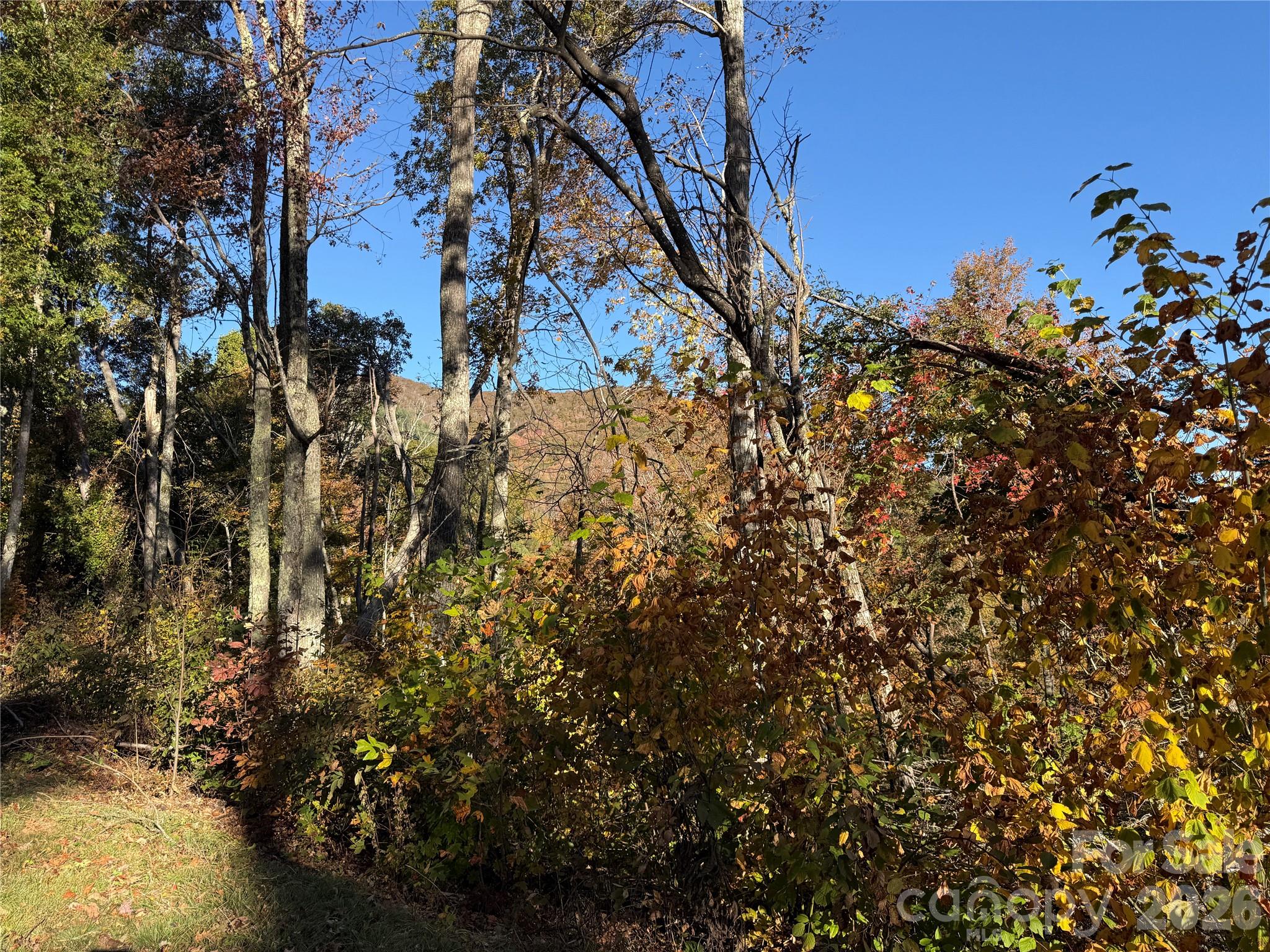 Lot 6 Ridgerunner Road Property Photo 10