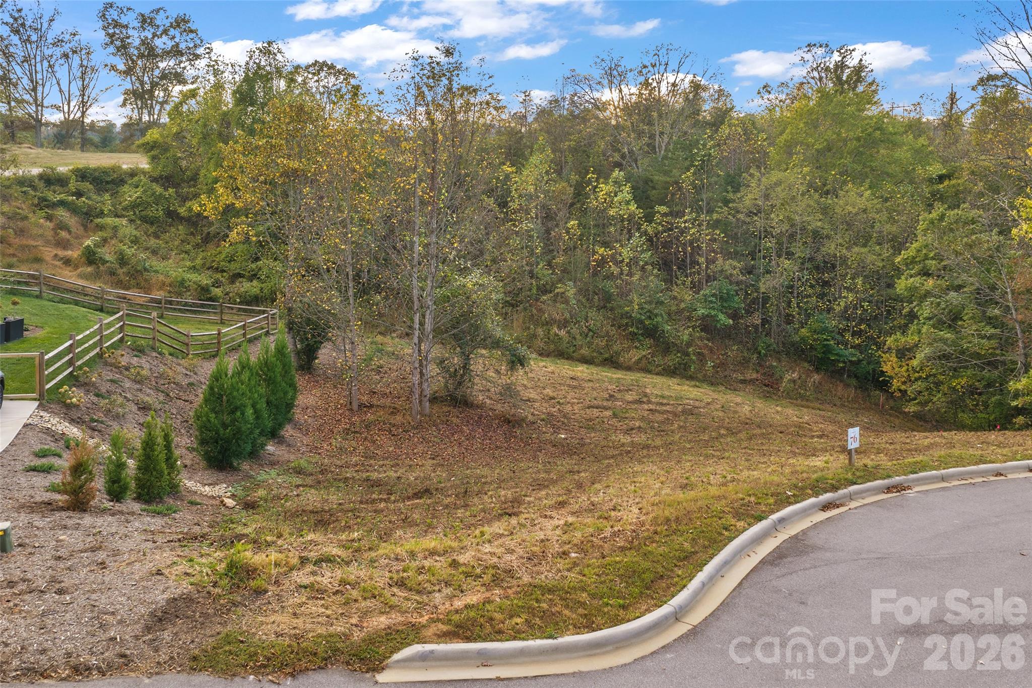404 Blue Mind Way 76 Property Photo 6