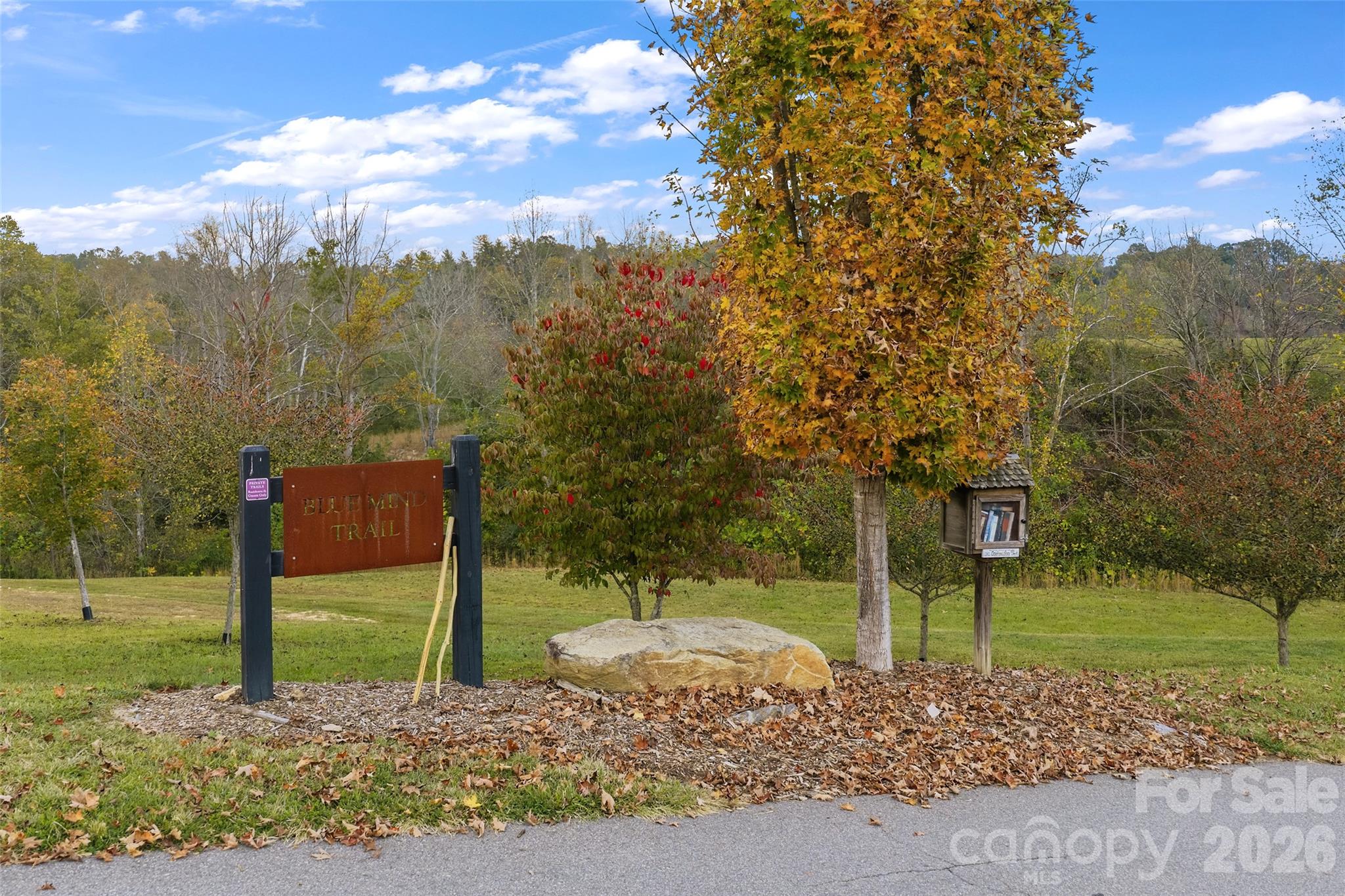404 Blue Mind Way 76 Property Photo 15