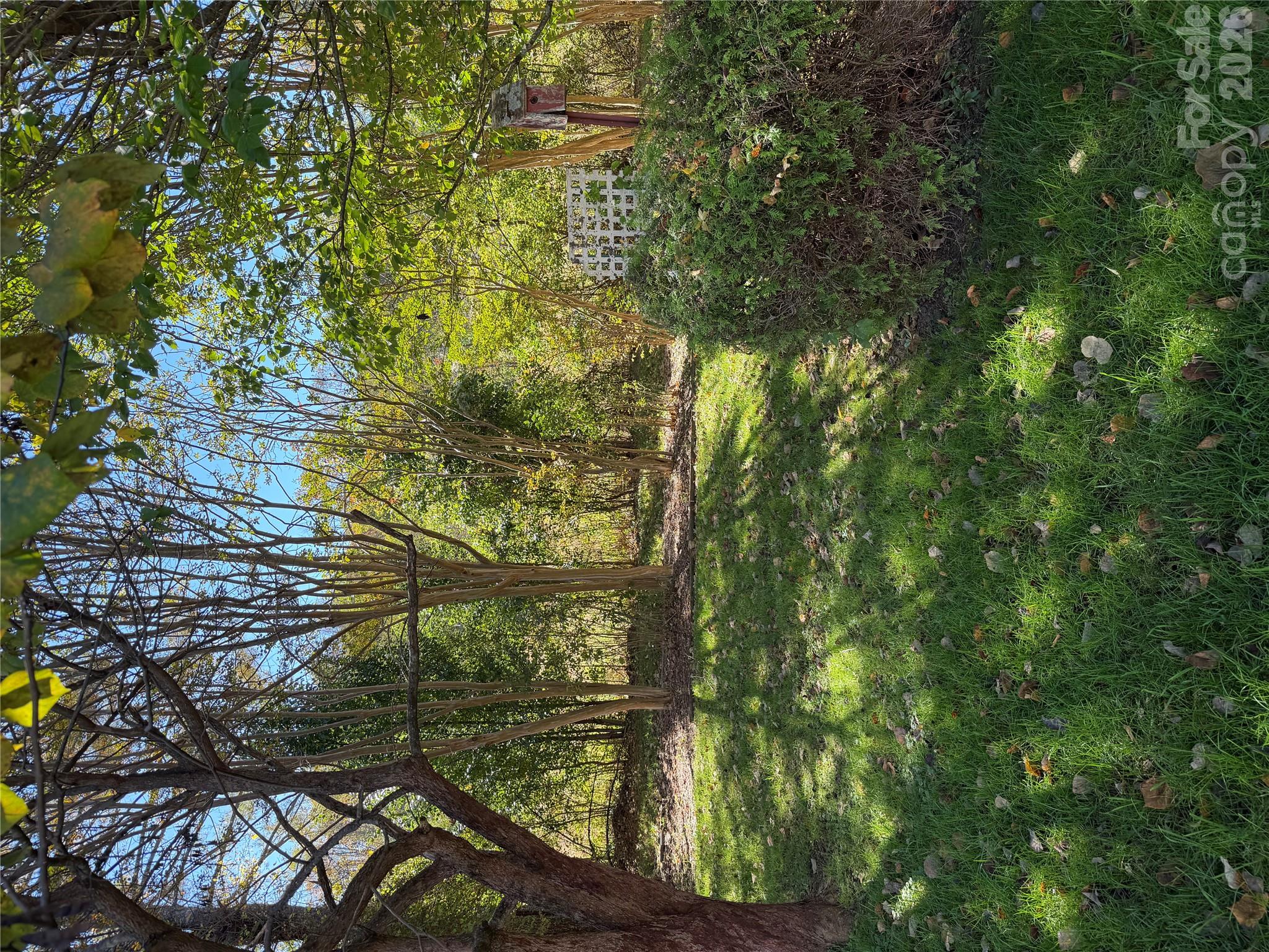 205 Misty Lane Property Photo 8