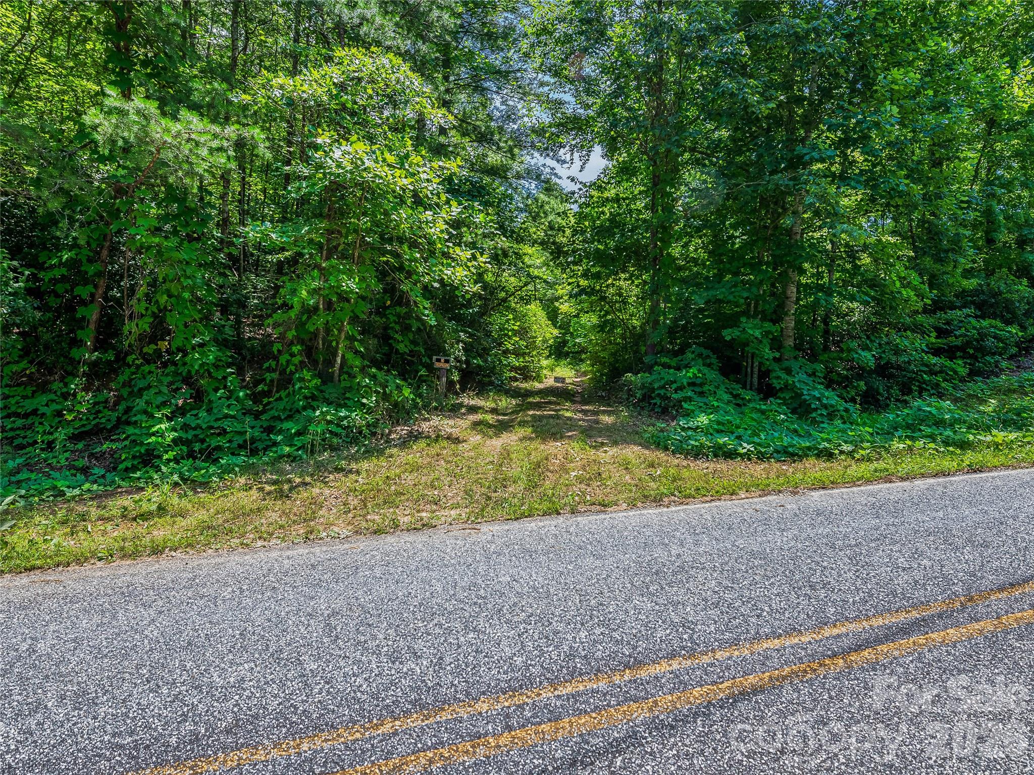 Tbd Owl Hollow Road Property Photo 11