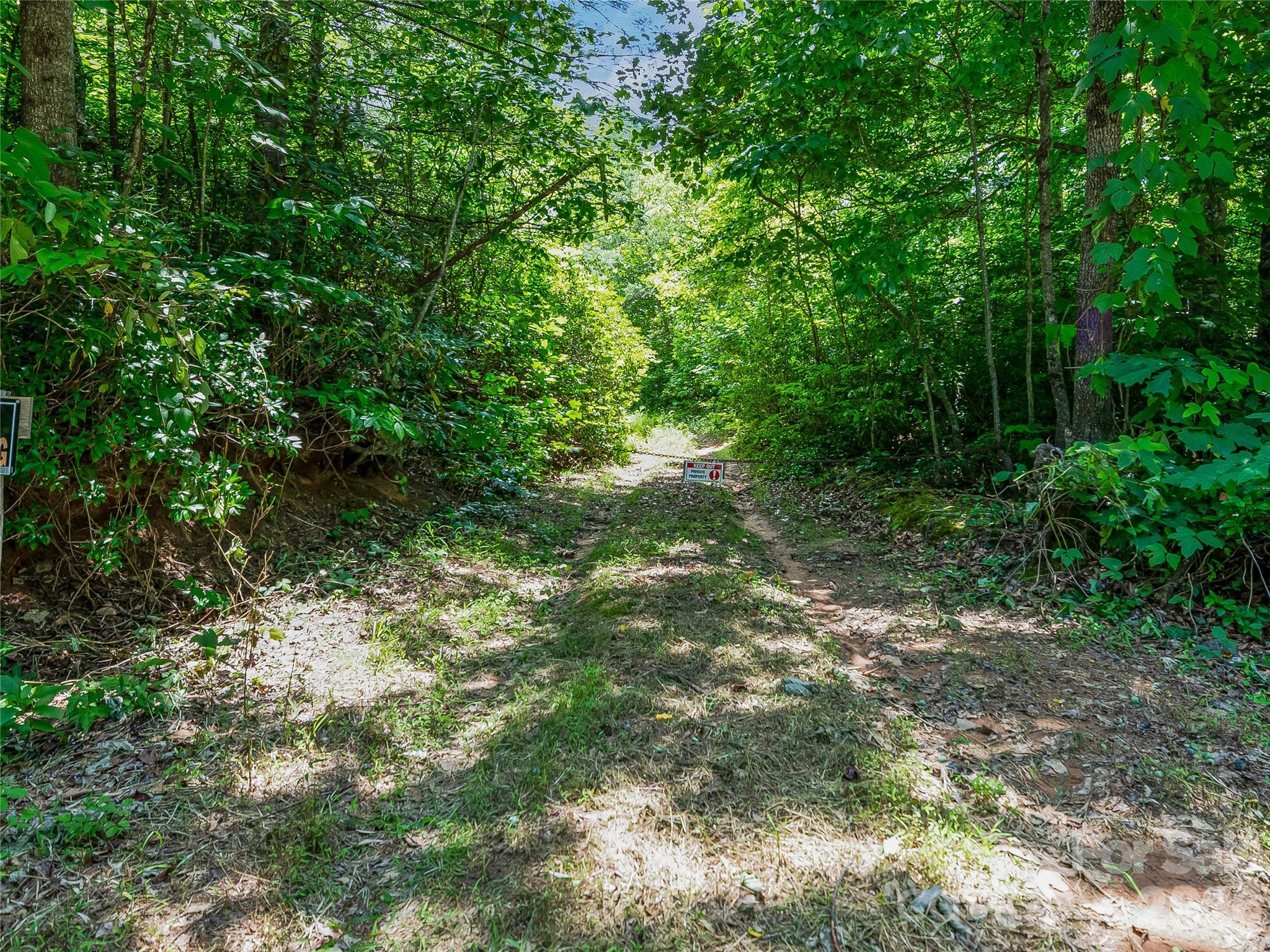 Tbd Owl Hollow Road Property Photo 13