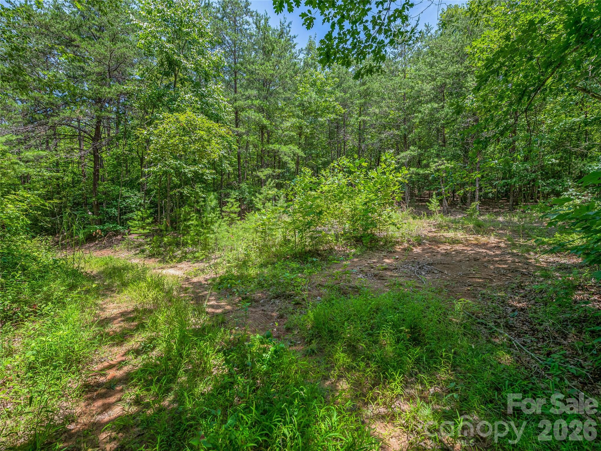 Tbd Owl Hollow Road Property Photo 14