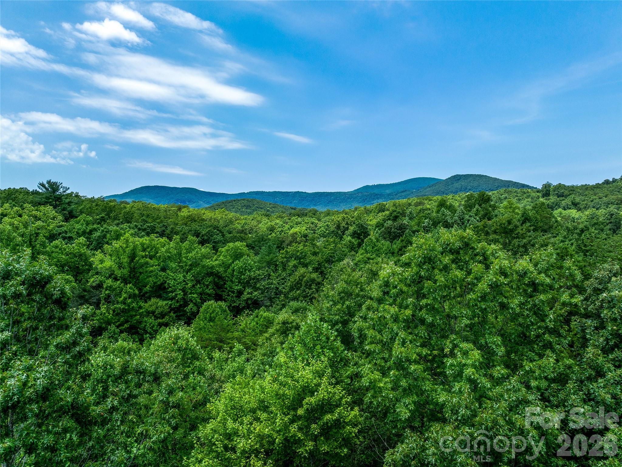 Tbd Owl Hollow Road Property Photo 15