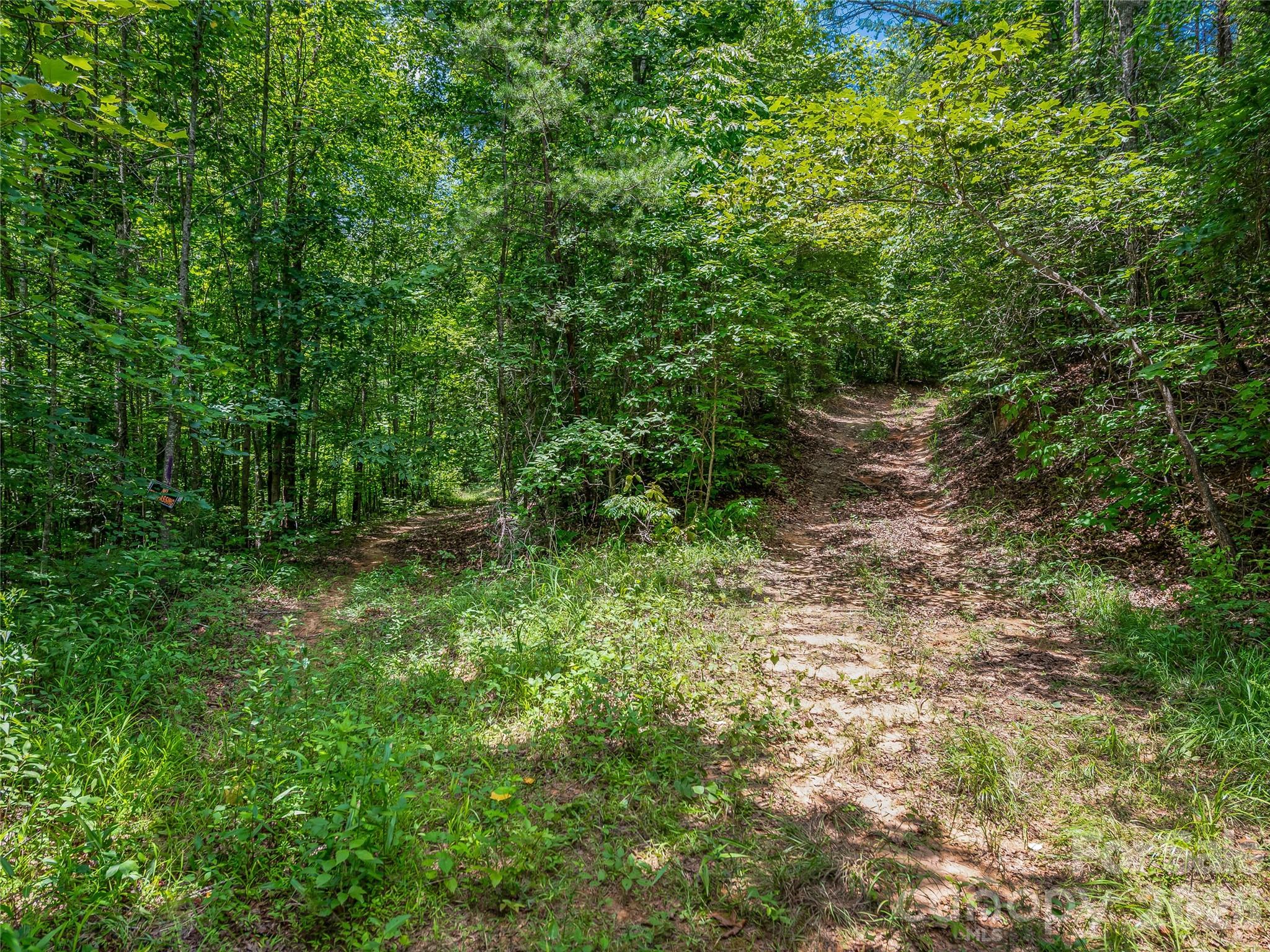 Tbd Owl Hollow Road Property Photo 16