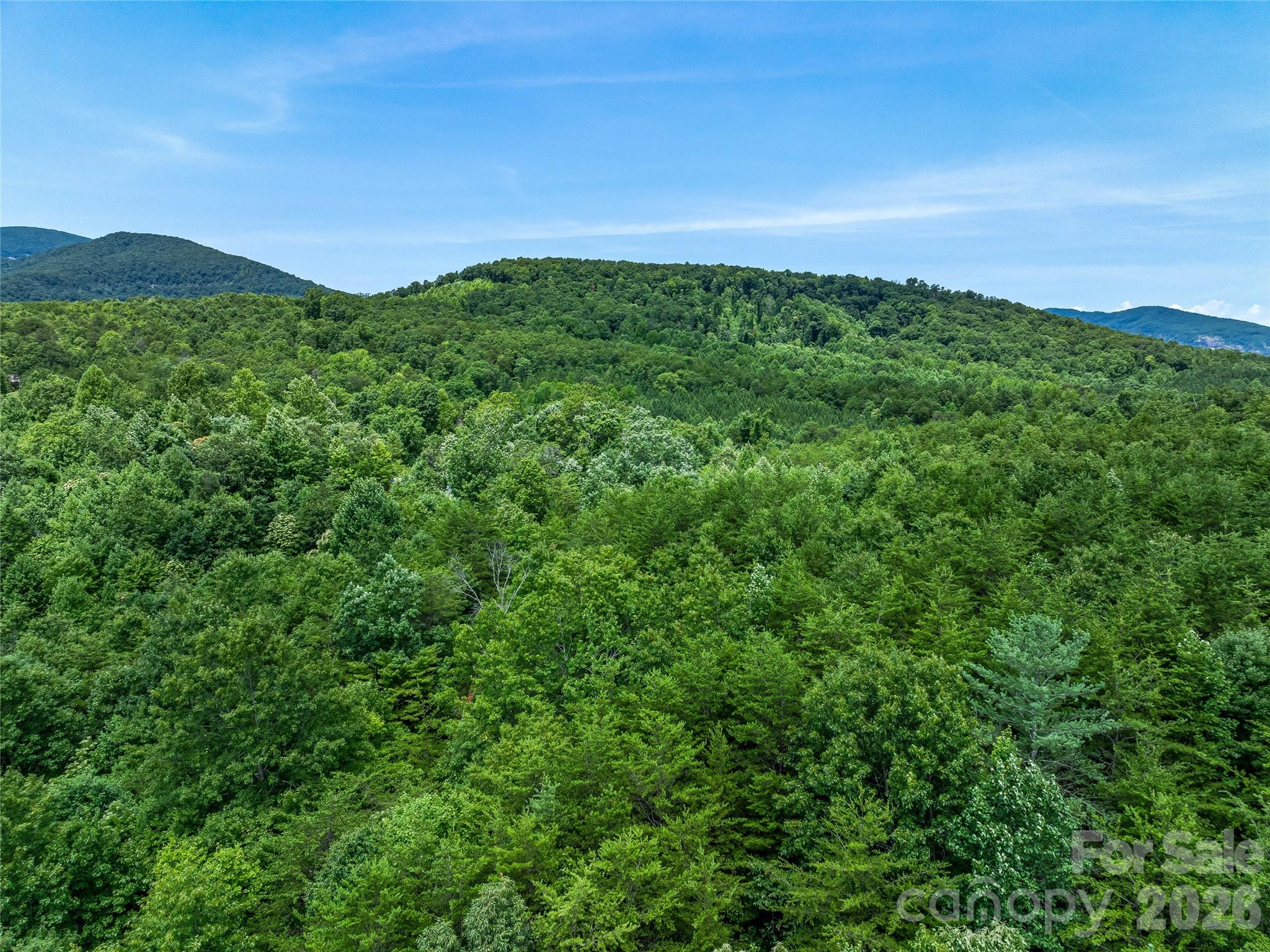 Tbd Owl Hollow Road Property Photo 18