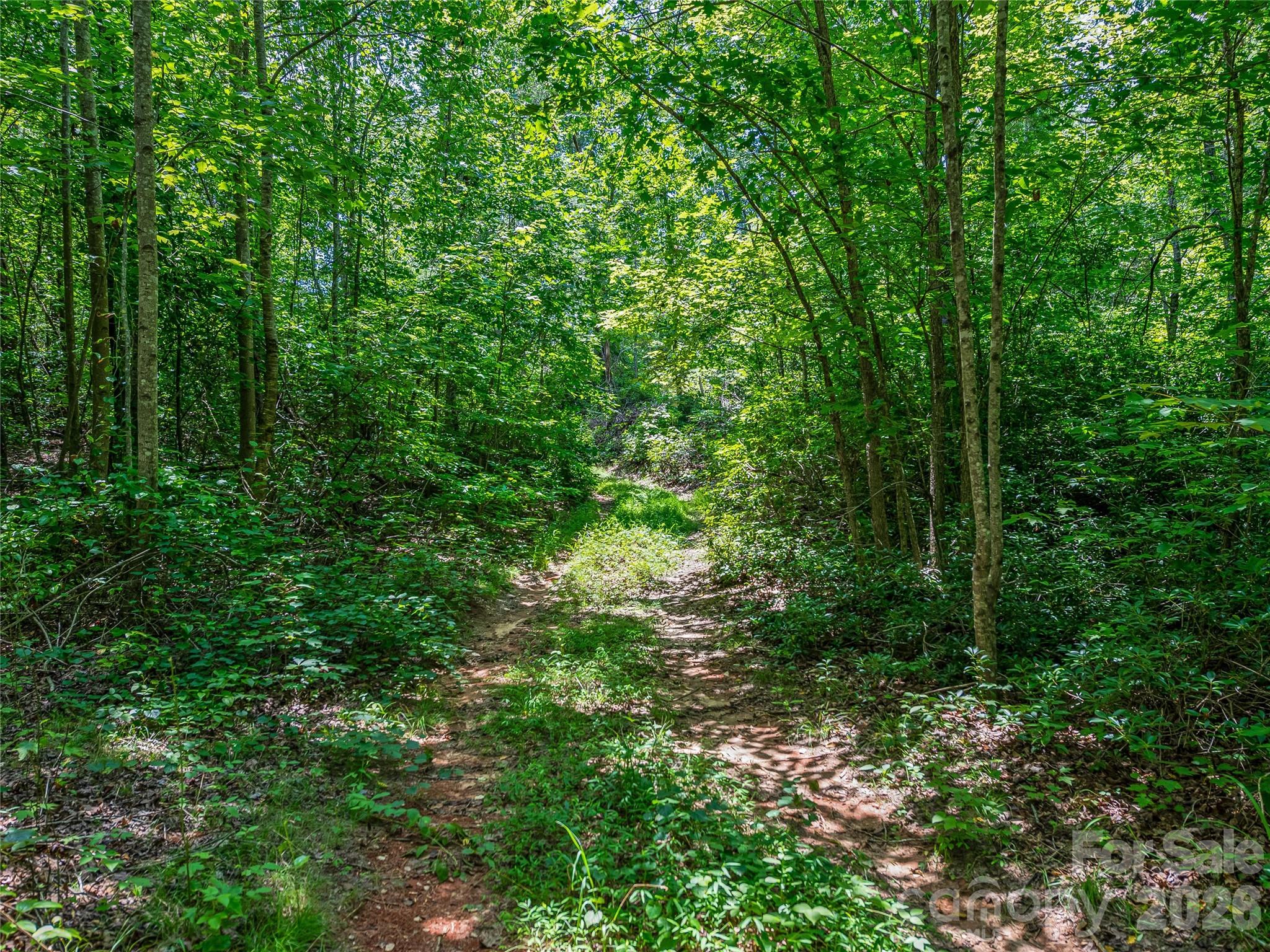 Tbd Owl Hollow Road Property Photo 19