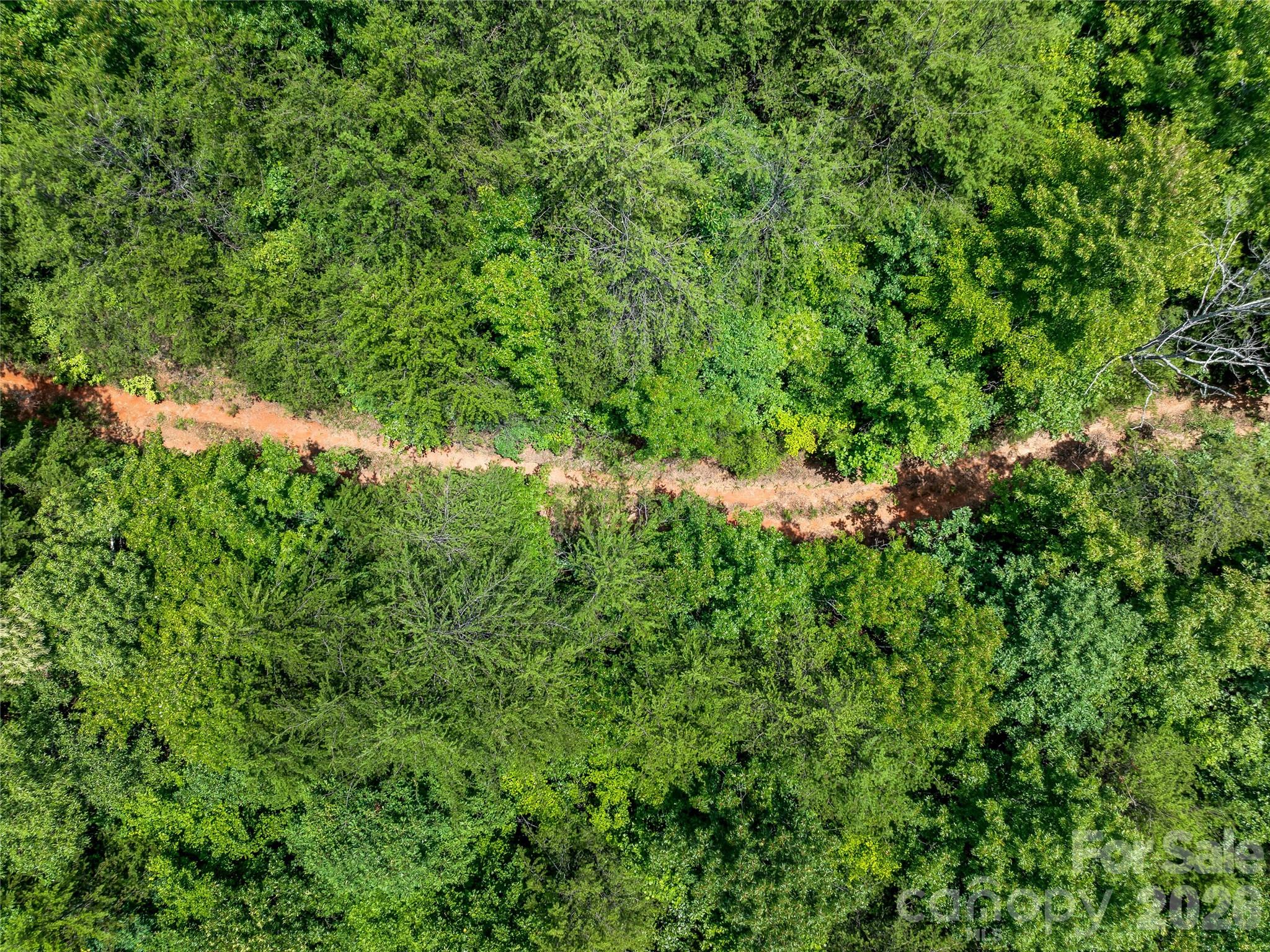 Tbd Owl Hollow Road Property Photo 21