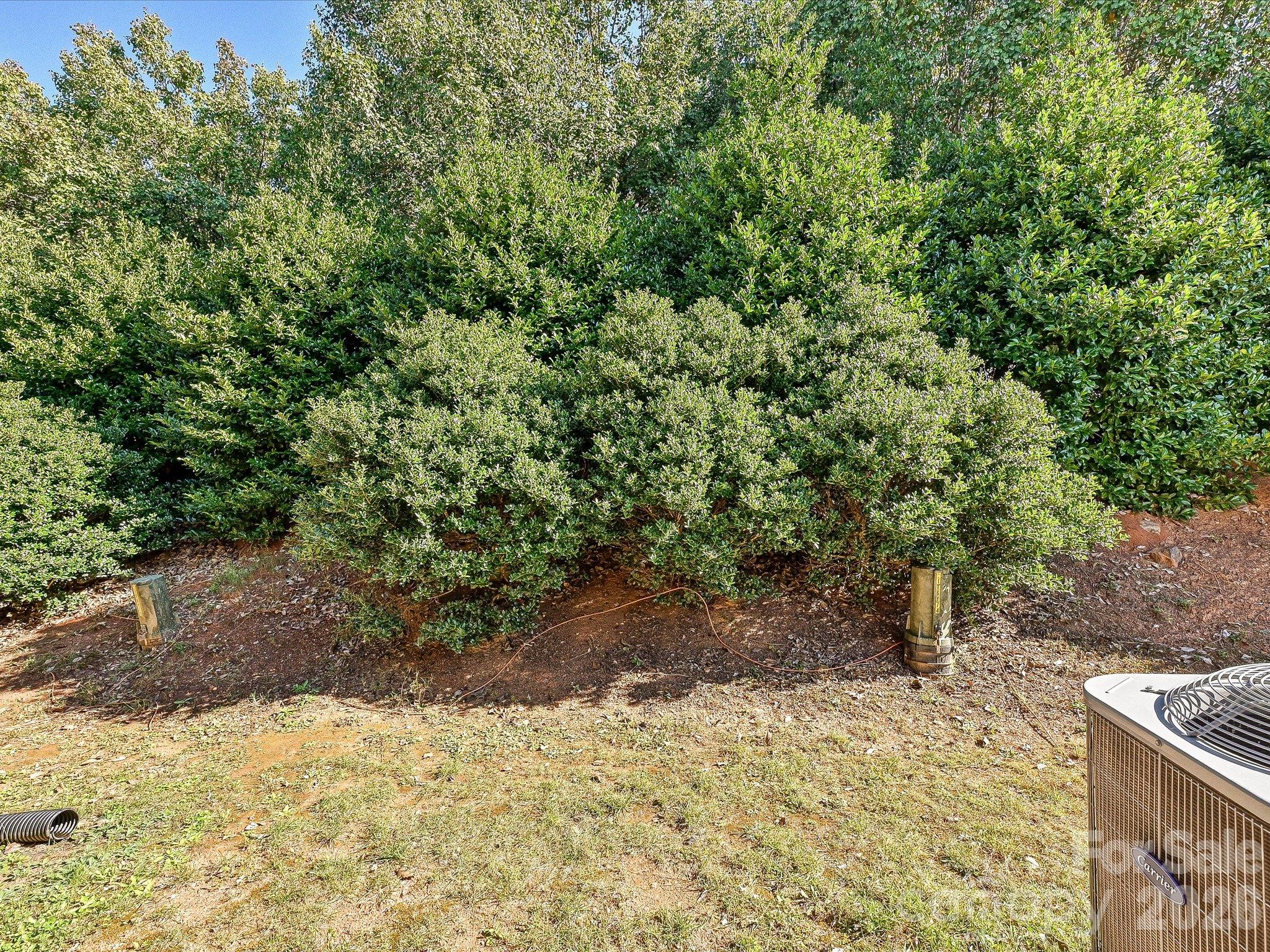 1470 Cypress Loop Property Photo 24