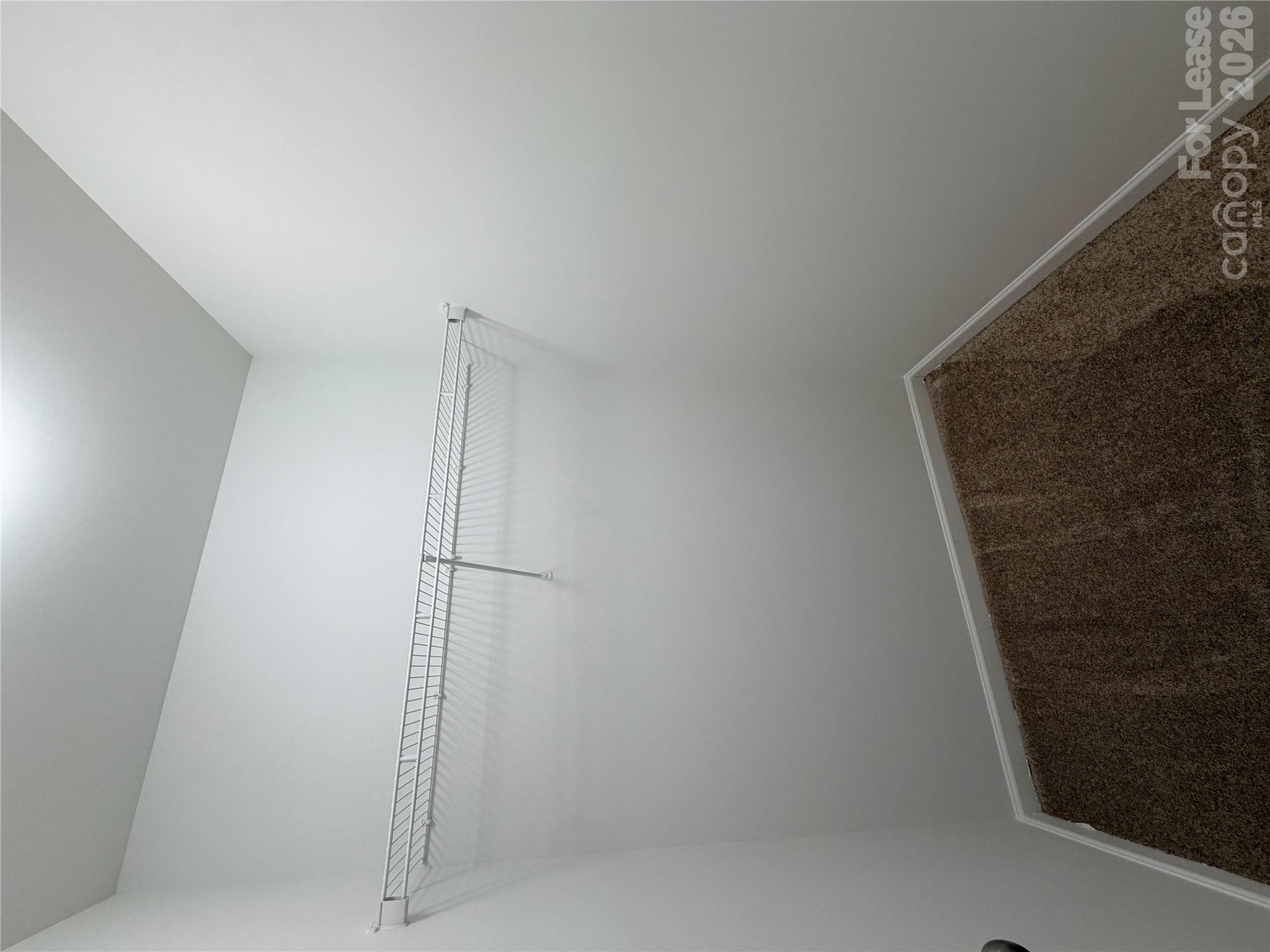 7106 Thornrose Drive Property Photo 10