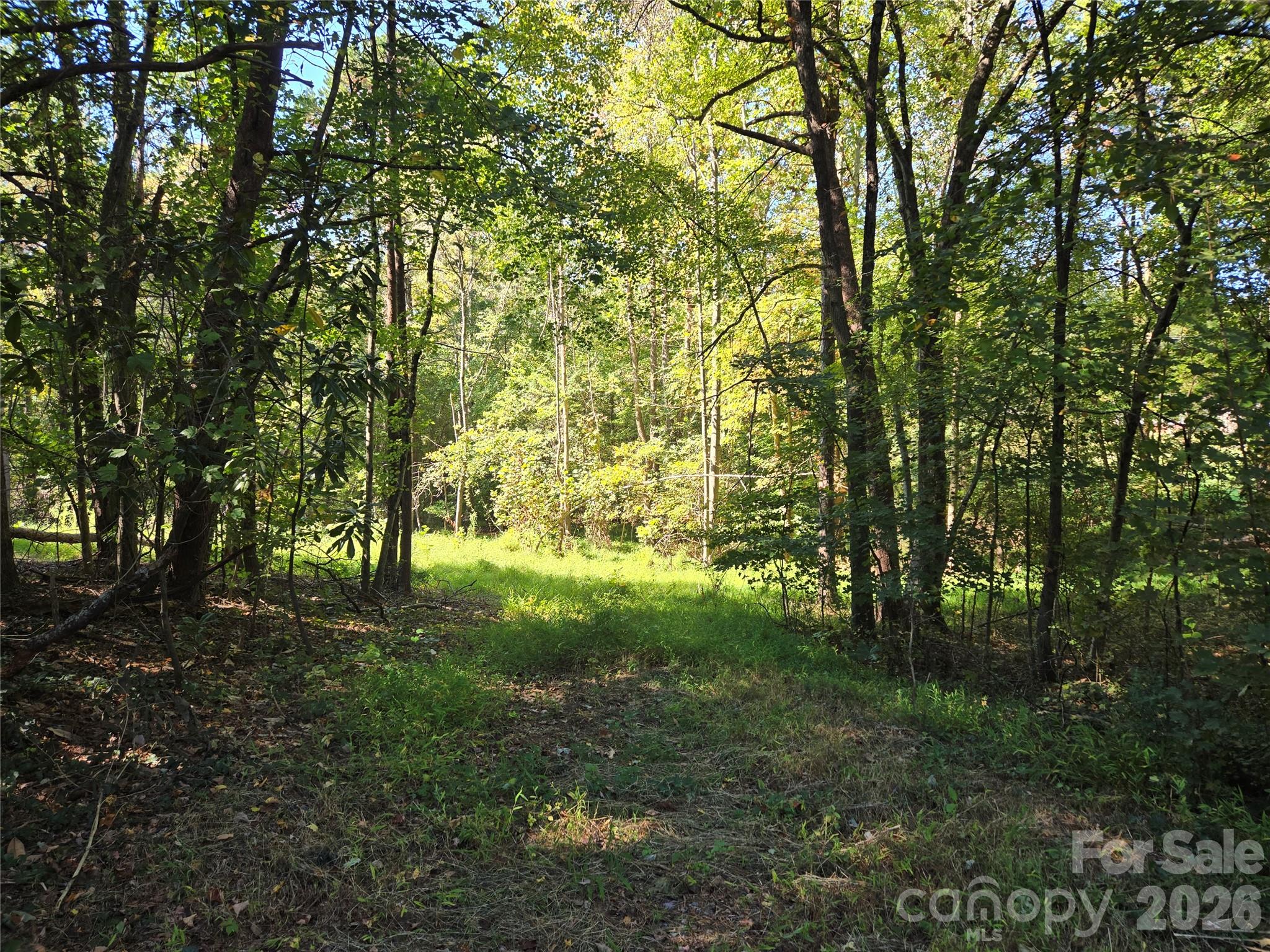 0 Cemetery Street Property Photo 5