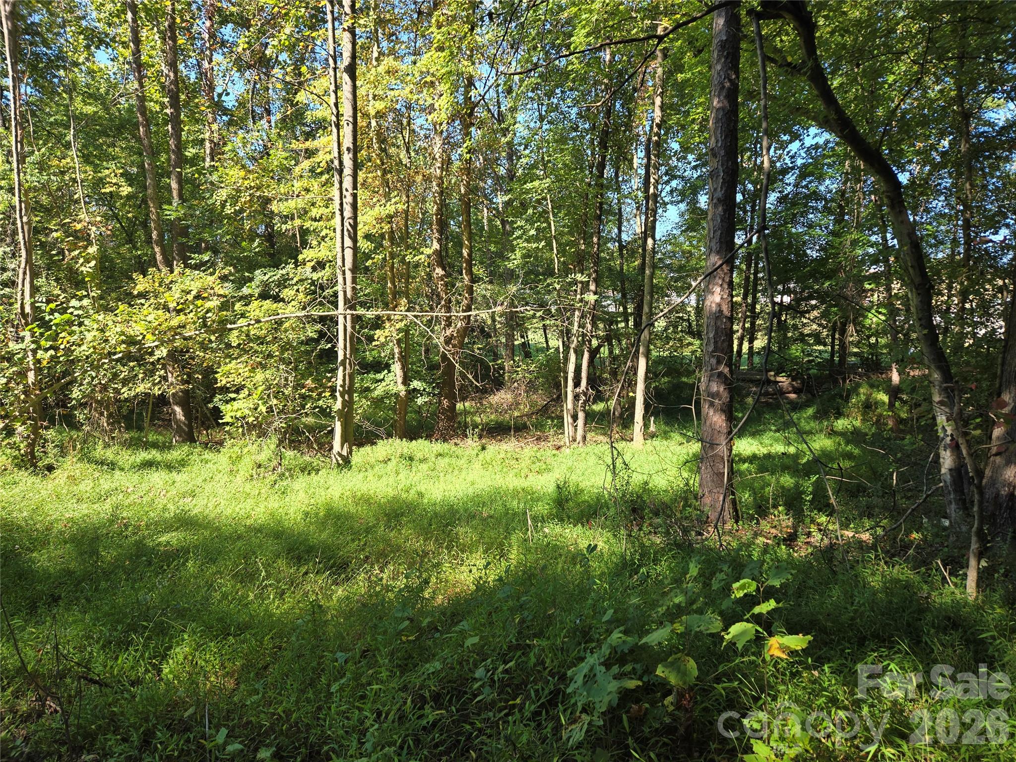 0 Cemetery Street Property Photo 7