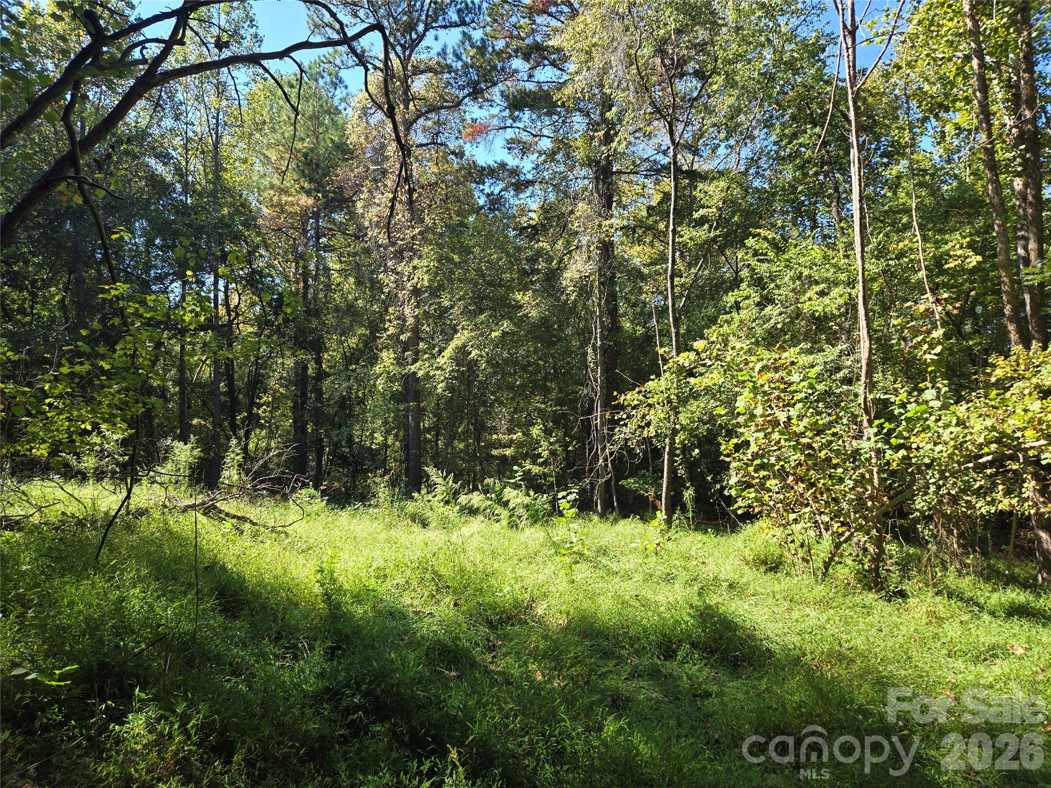 0 Cemetery Street Property Photo 8