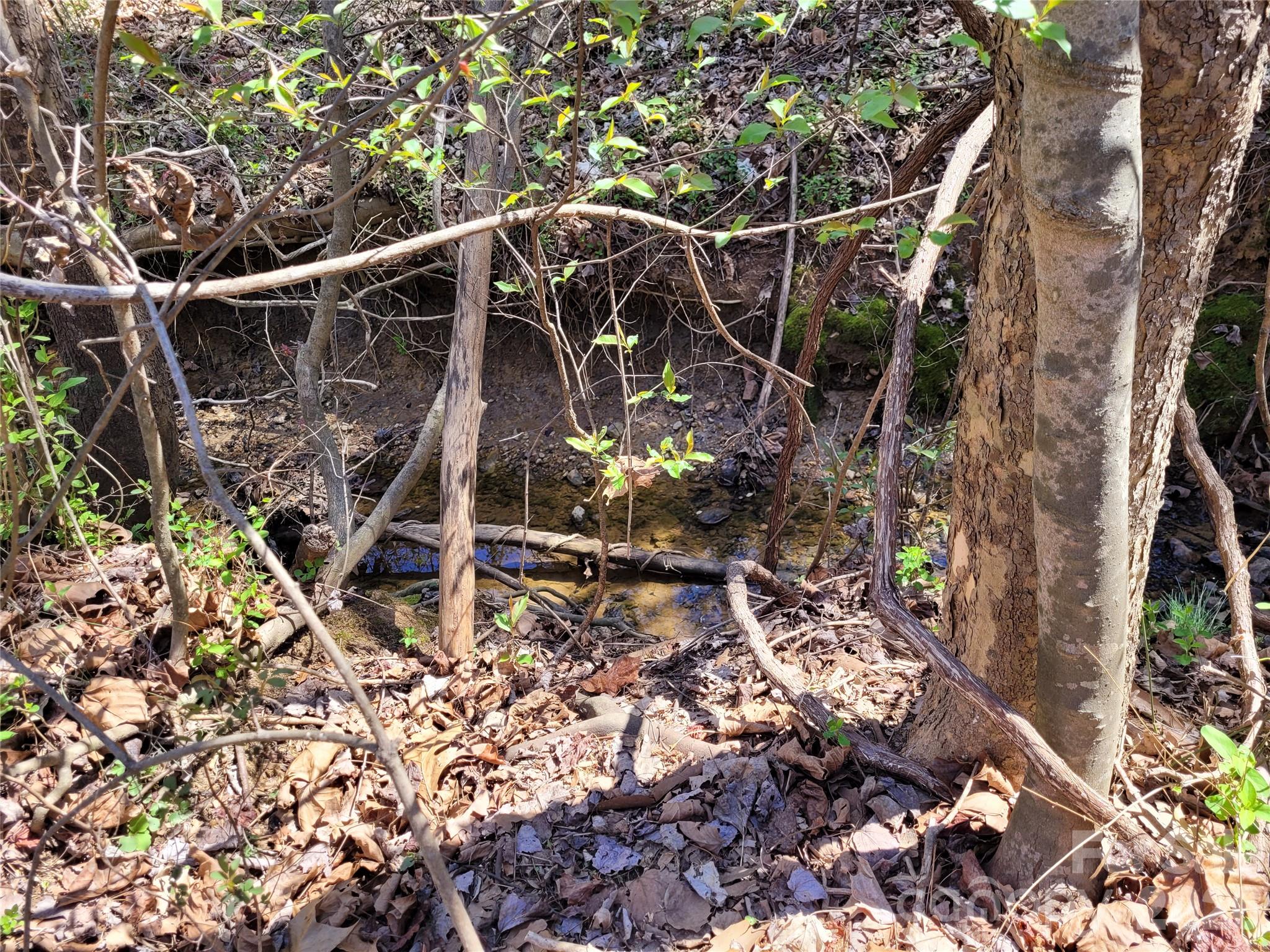 0 Cemetery Street Property Photo 15