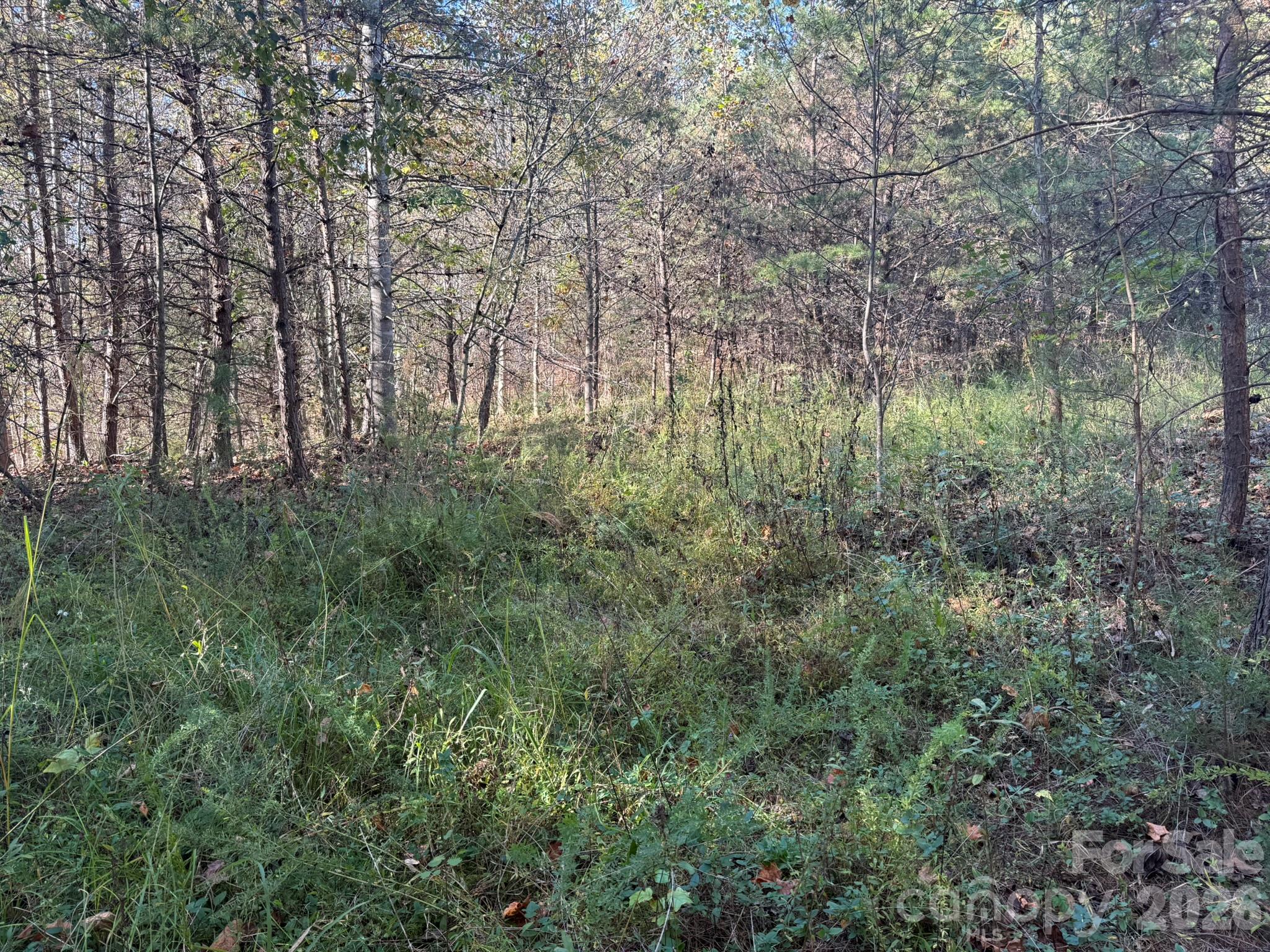 V/l Wild Ridges Lane Property Photo 5