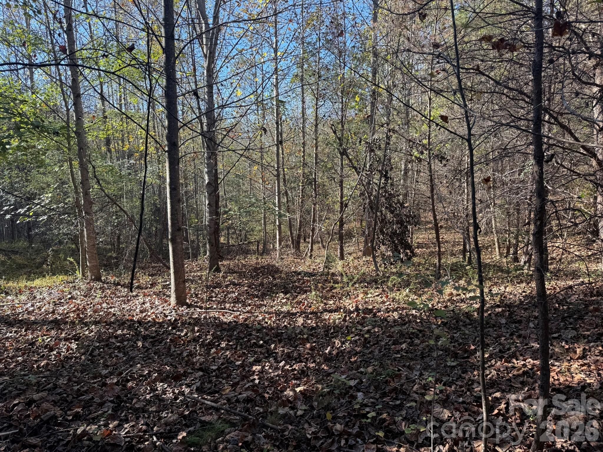V/l Wild Ridges Lane Property Photo 6