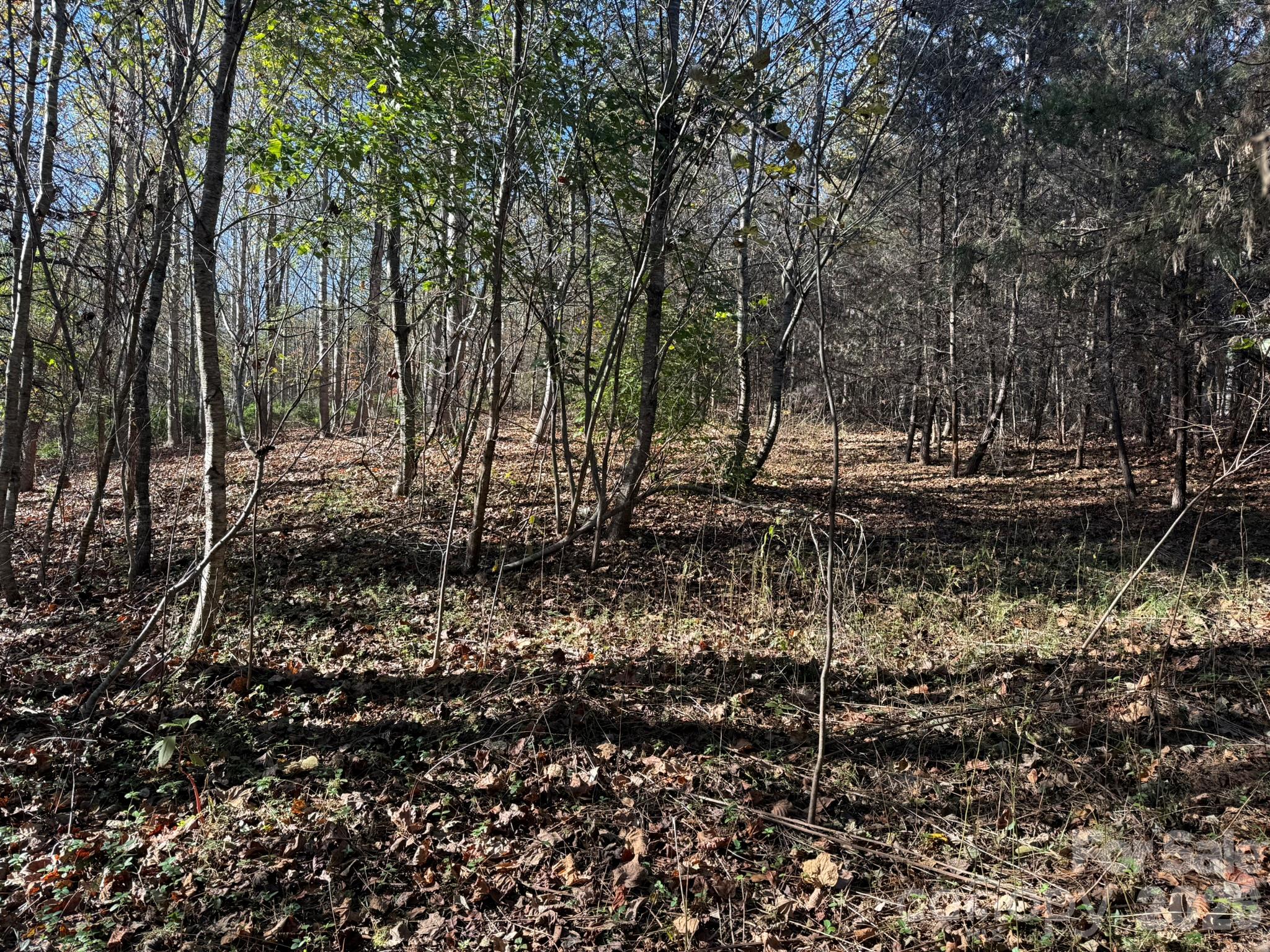 V/l Wild Ridges Lane Property Photo 7