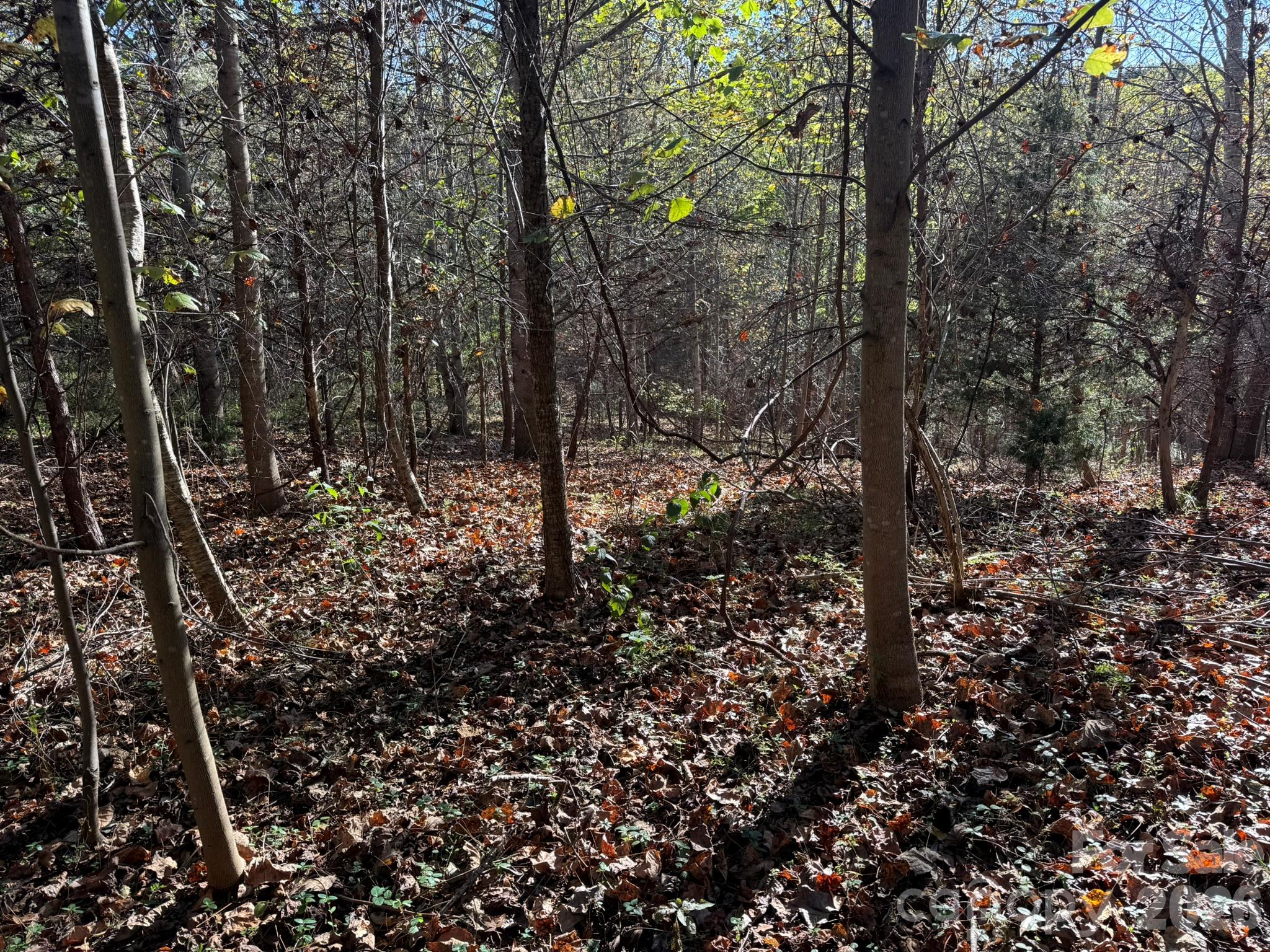 V/l Wild Ridges Lane Property Photo 8