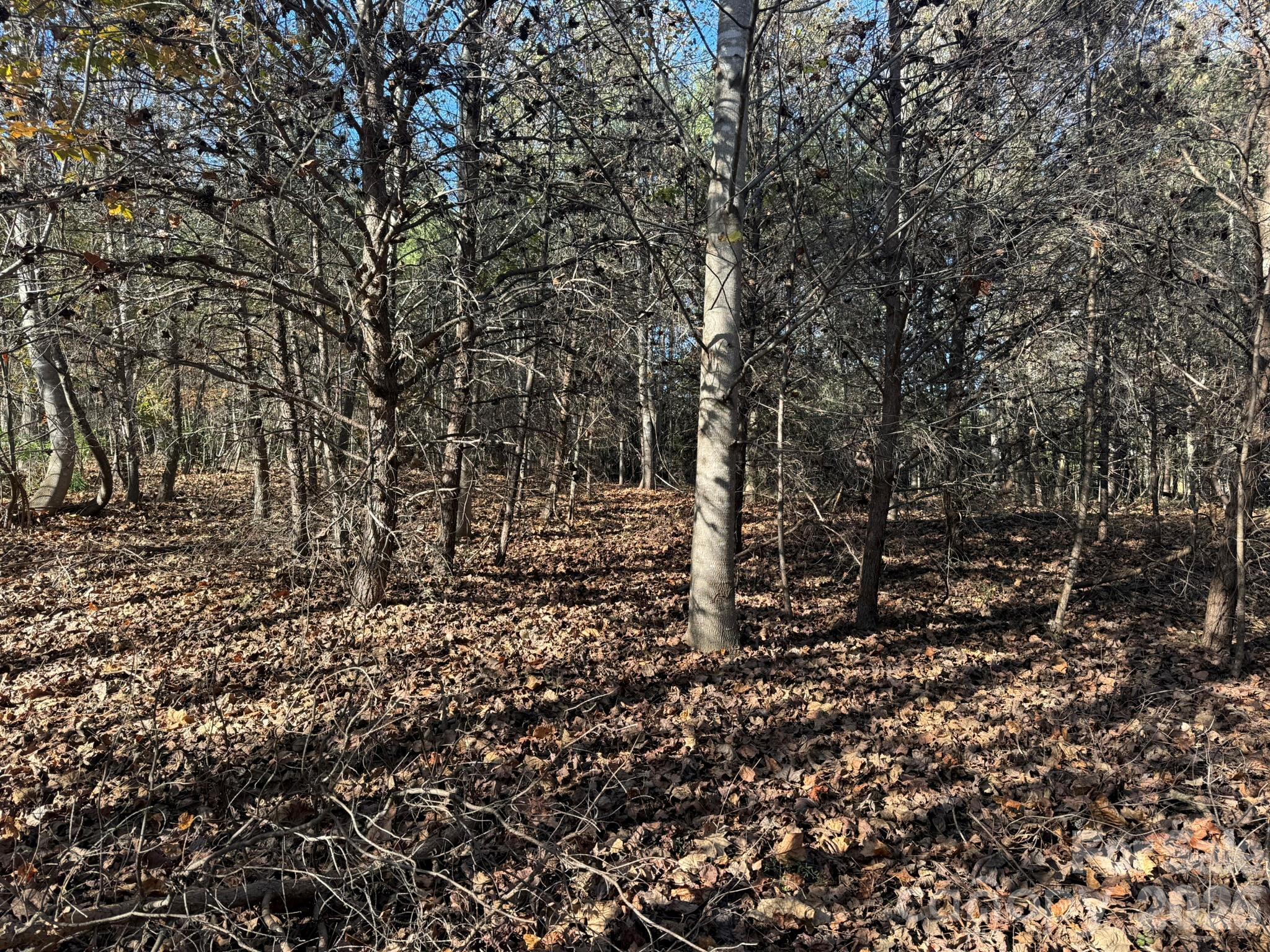 V/l Wild Ridges Lane Property Photo 9