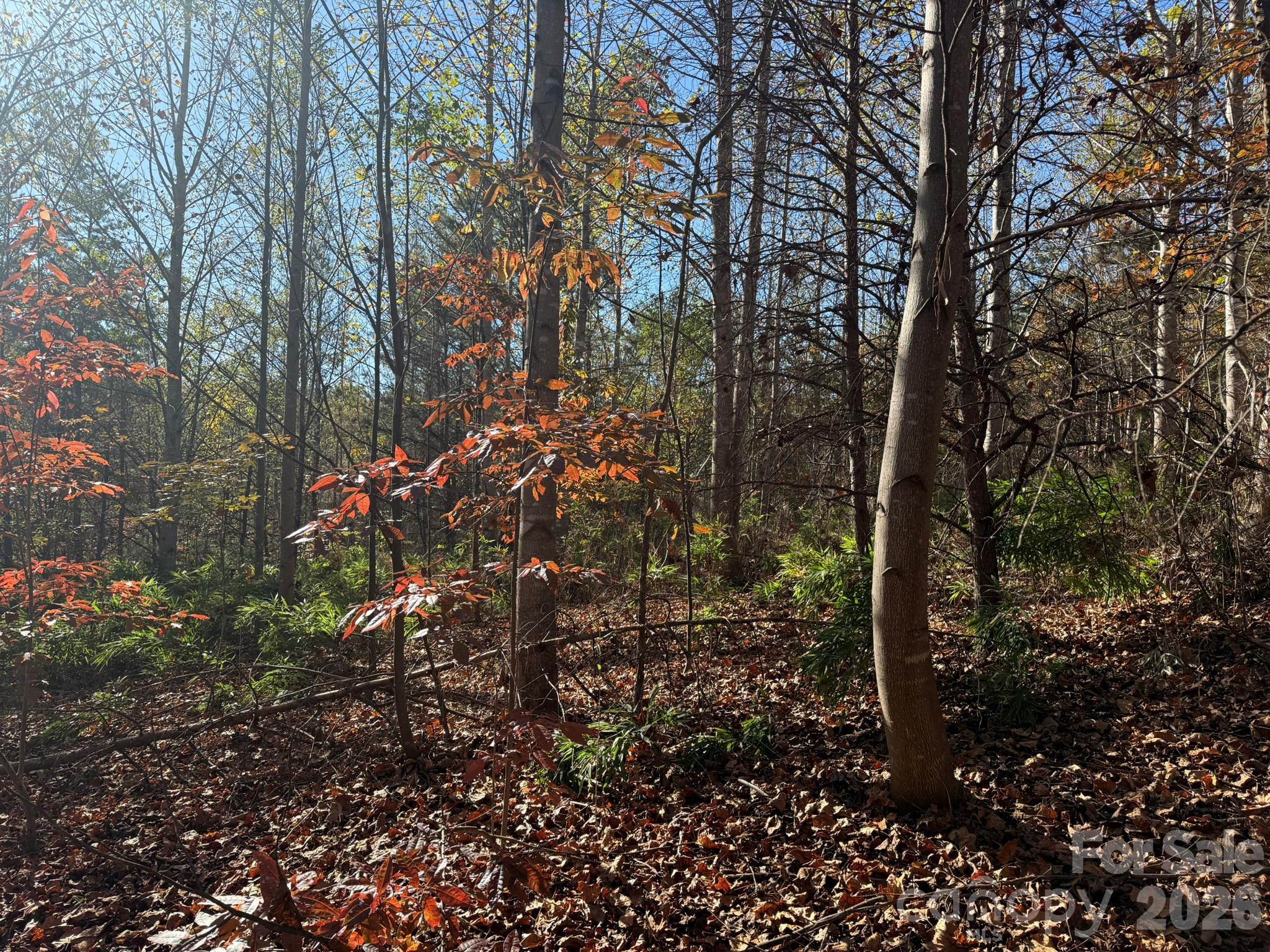 V/l Wild Ridges Lane Property Photo 10