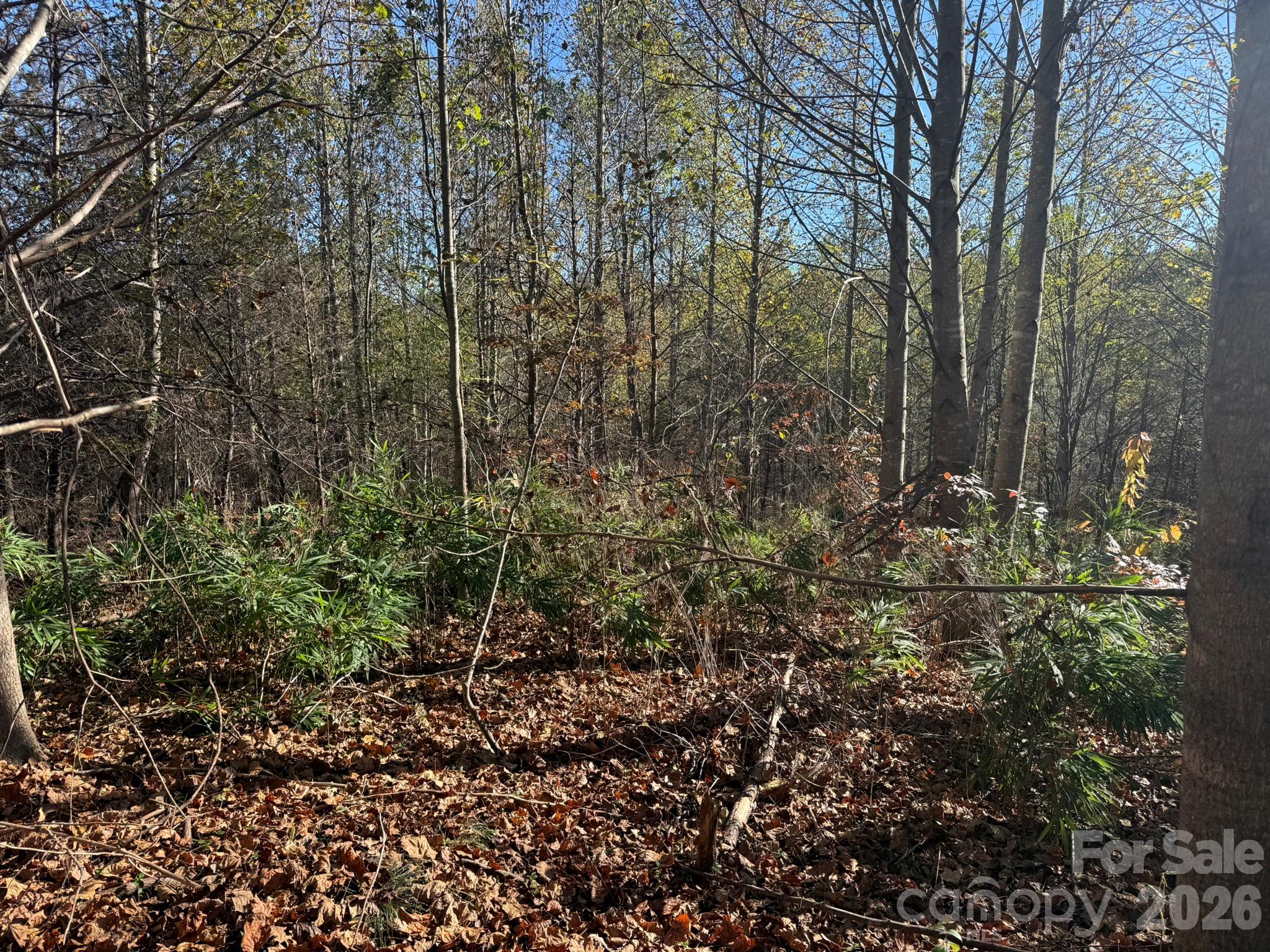 V/l Wild Ridges Lane Property Photo 11