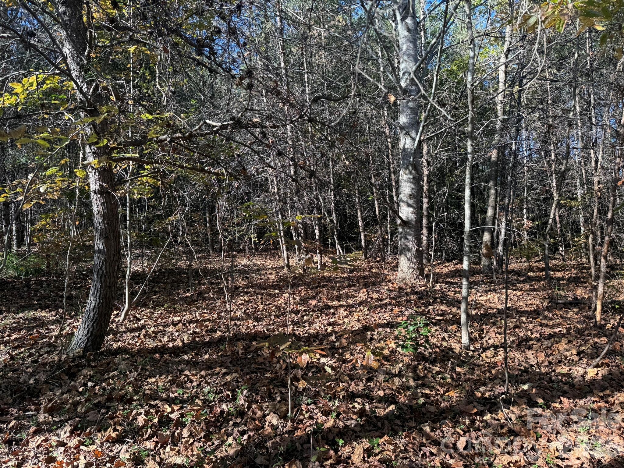 V/l Wild Ridges Lane Property Photo 12