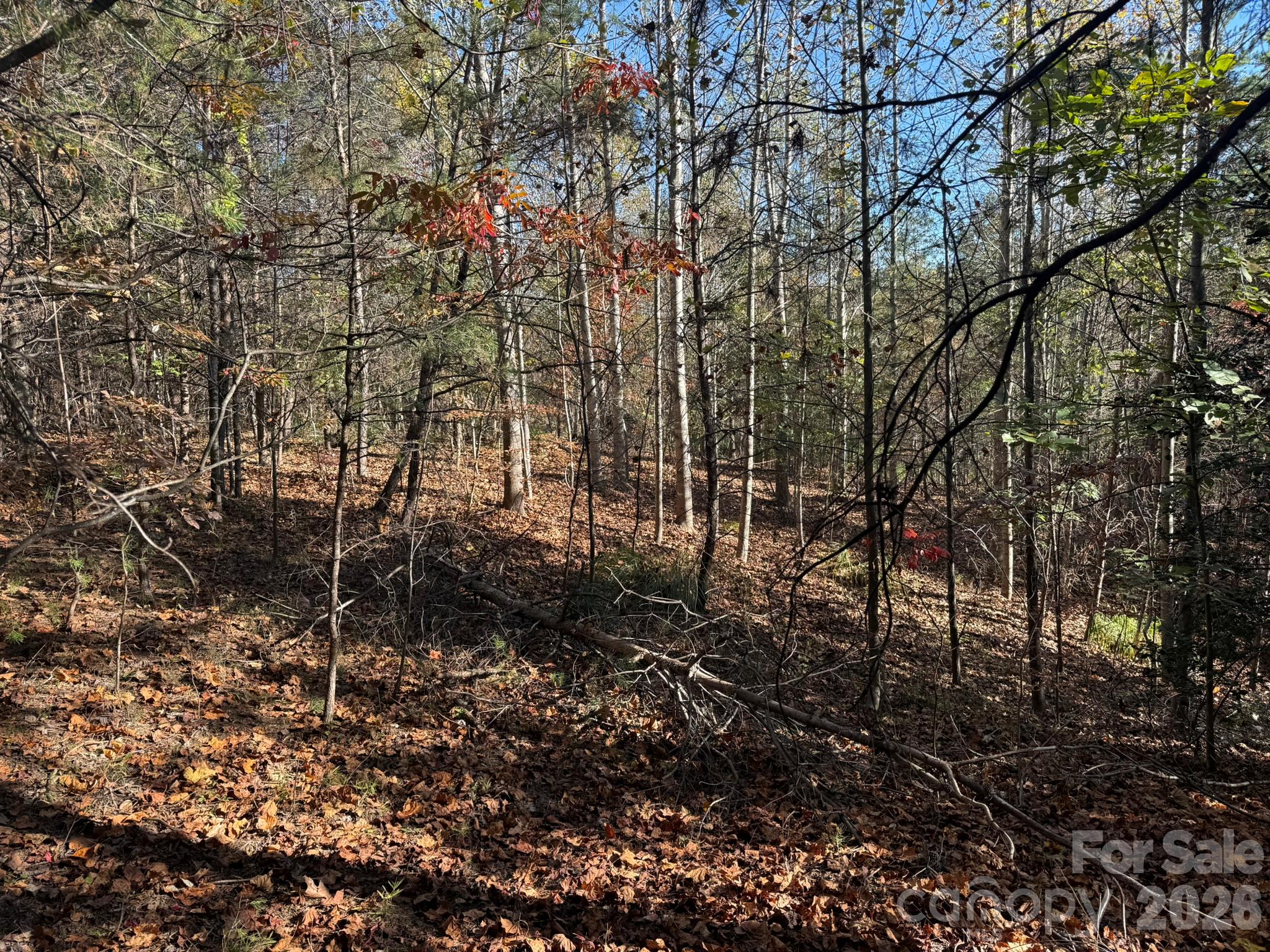 V/l Wild Ridges Lane Property Photo 14