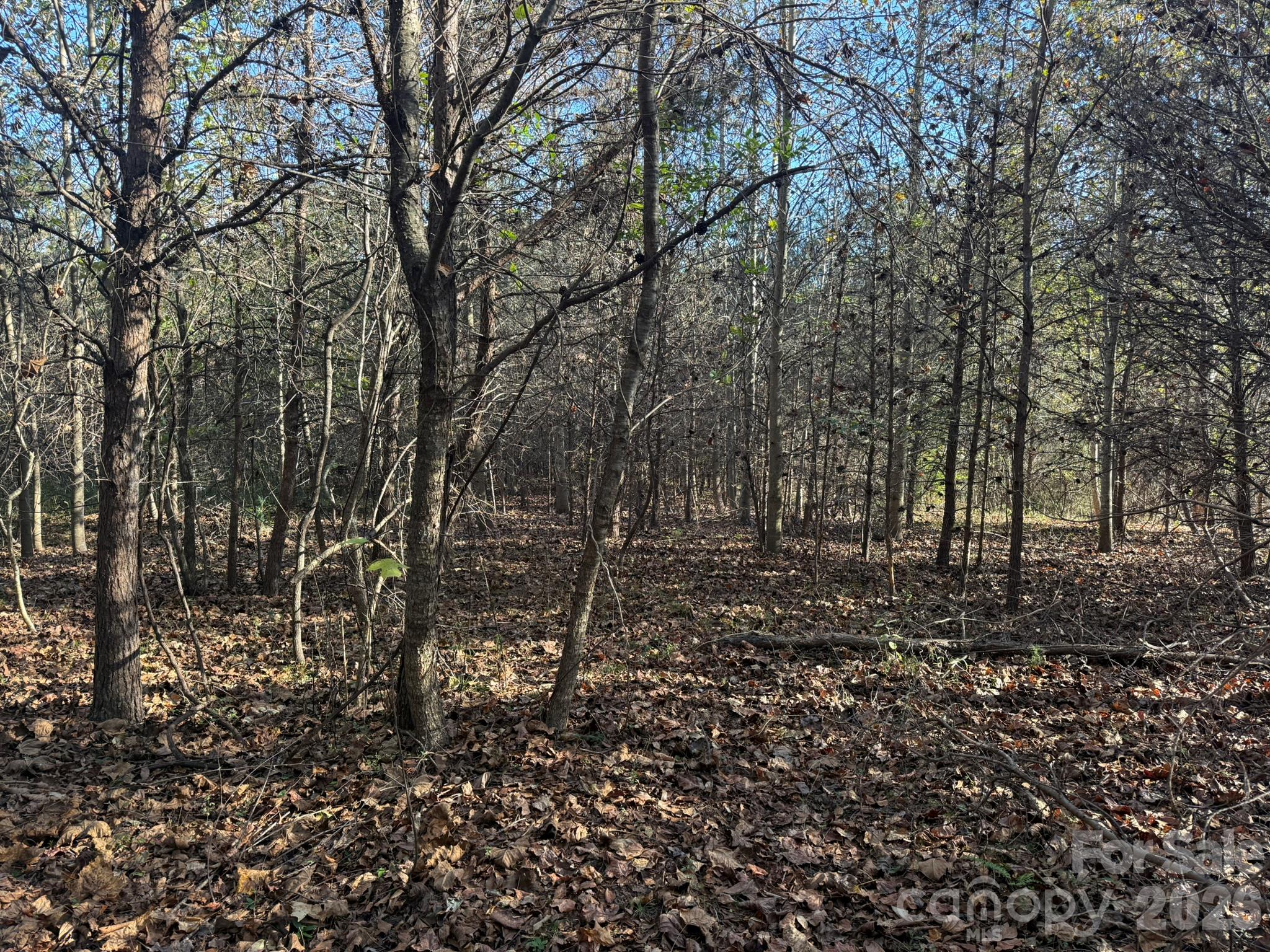 V/l Wild Ridges Lane Property Photo 15