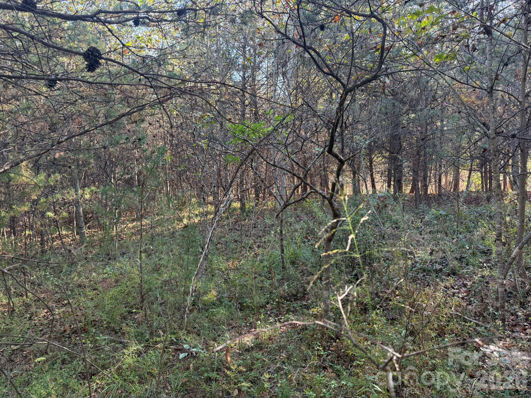 V/l Wild Ridges Lane Property Photo 16