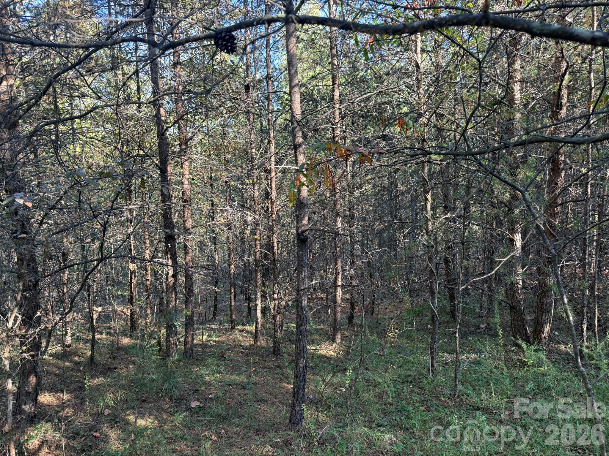 V/l Wild Ridges Lane Property Photo 17