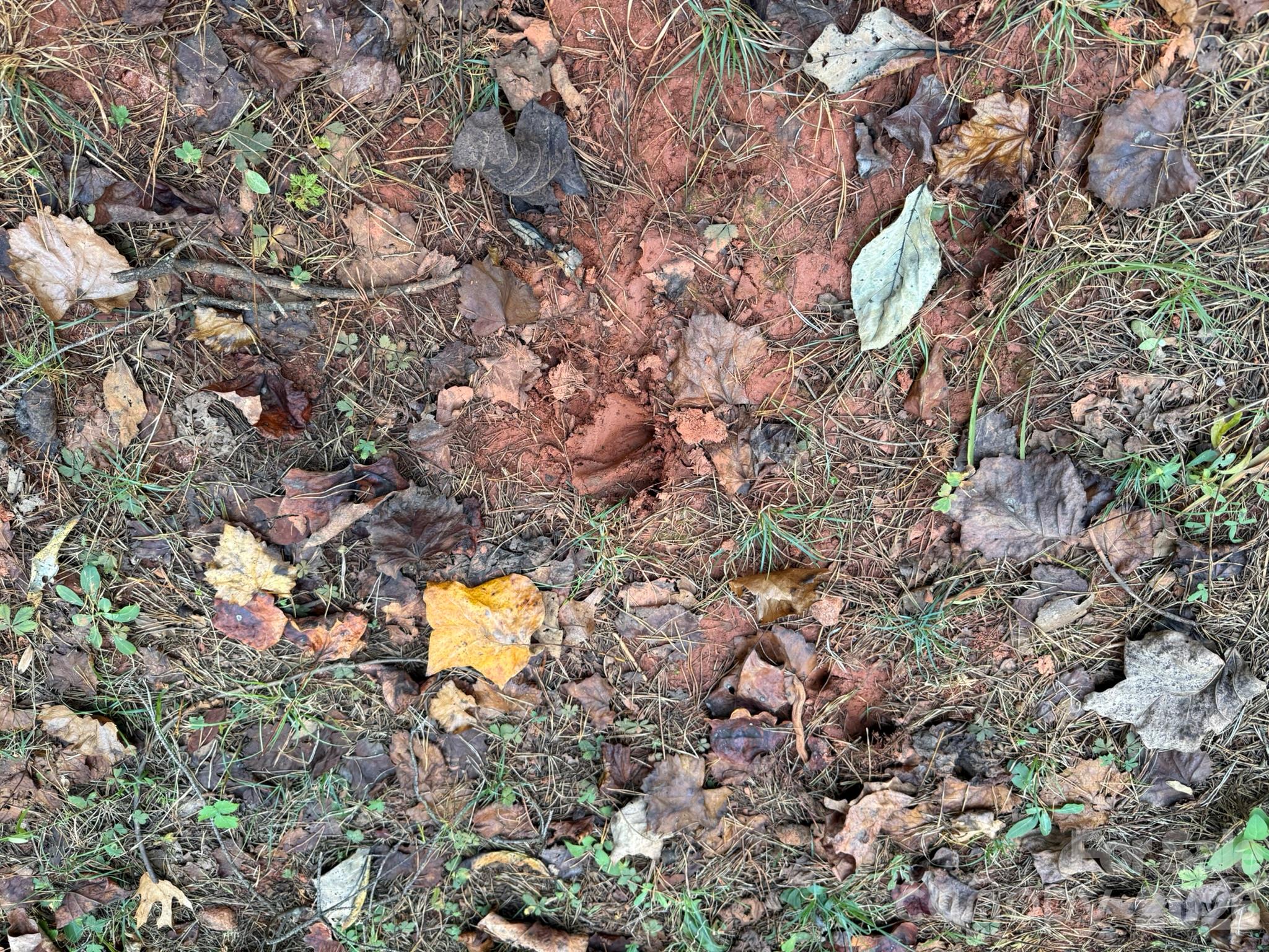 V/l Wild Ridges Lane Property Photo 18