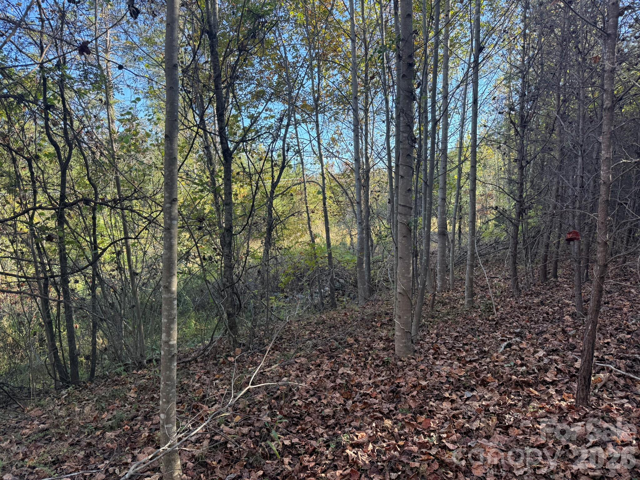 V/l Wild Ridges Lane Property Photo 19