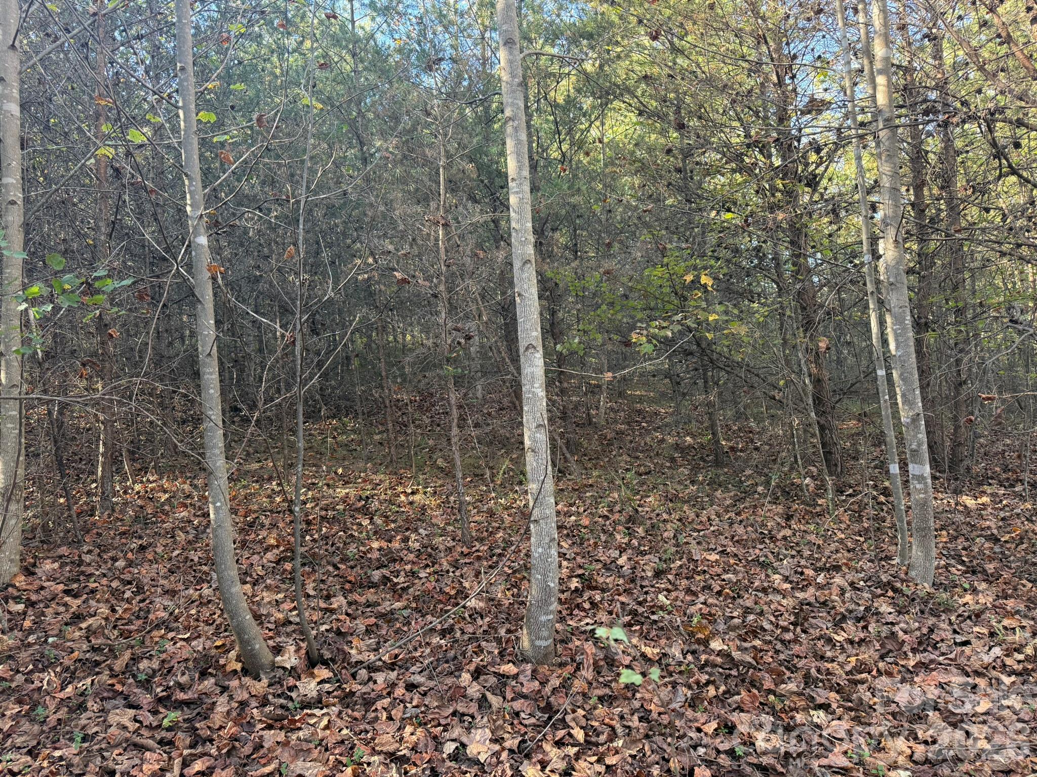 V/l Wild Ridges Lane Property Photo 20