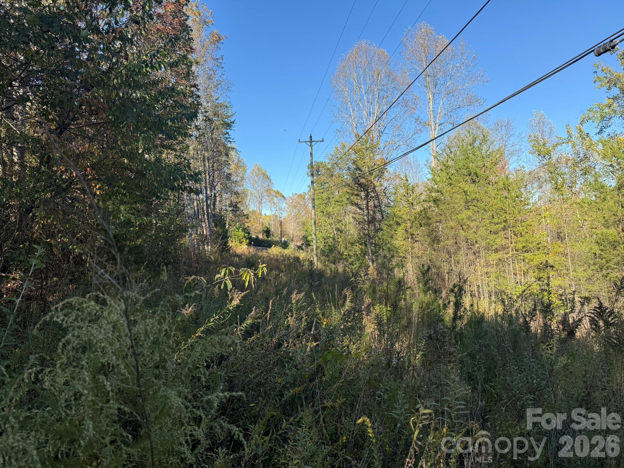 V/l Wild Ridges Lane Property Photo 21