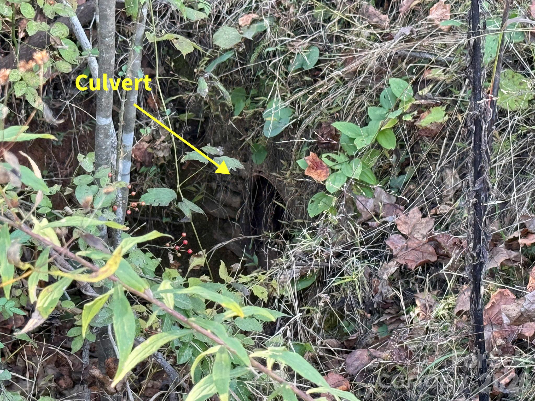 V/l Wild Ridges Lane Property Photo 22