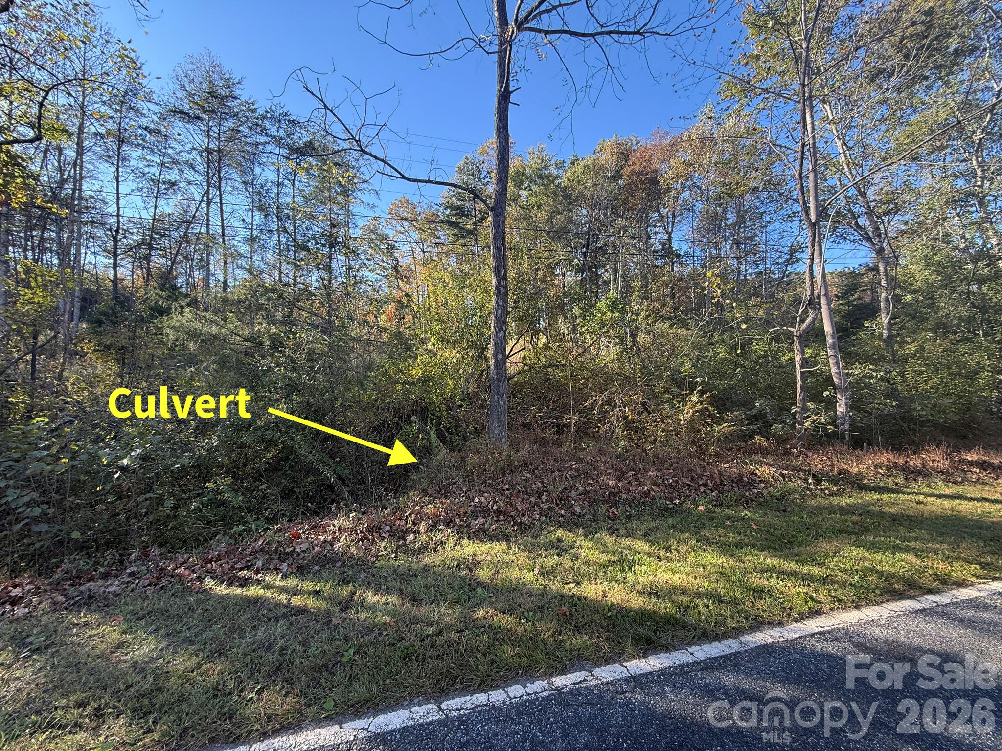 V/l Wild Ridges Lane Property Photo 23