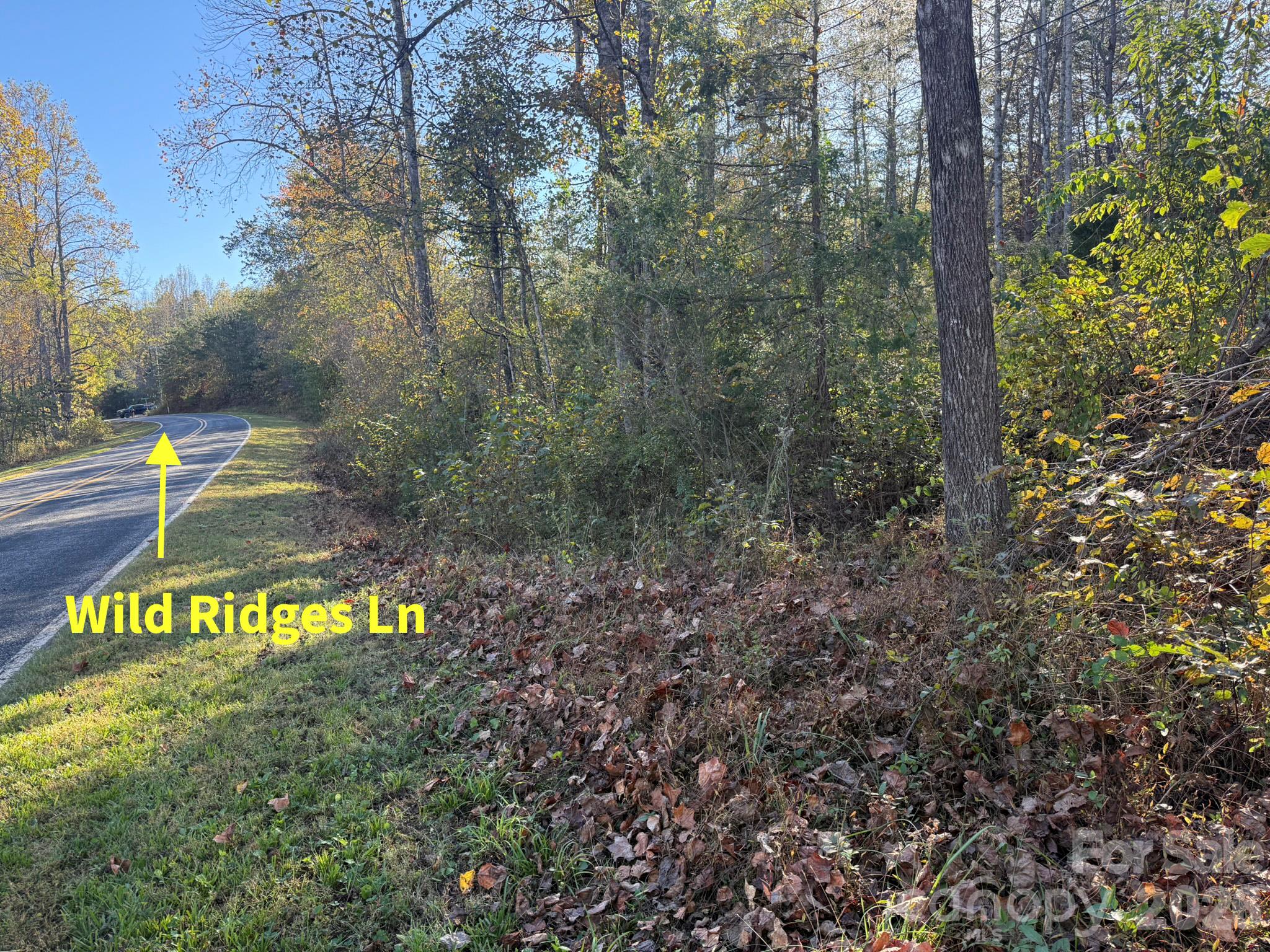 V/l Wild Ridges Lane Property Photo 24