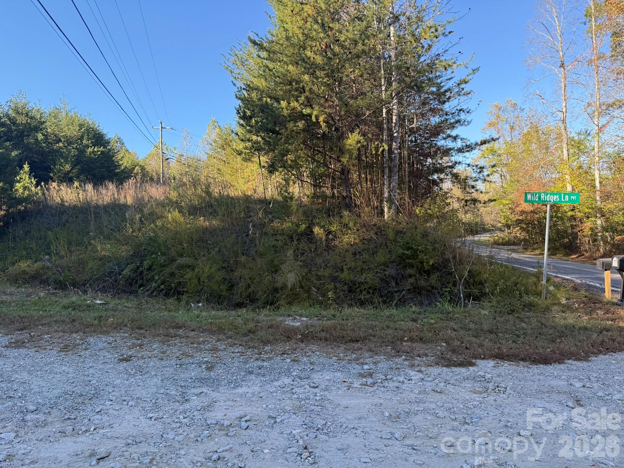 V/l Wild Ridges Lane Property Photo 25