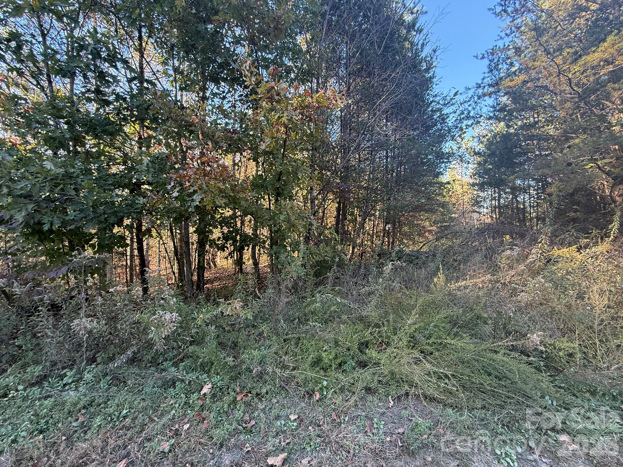 V/l Wild Ridges Lane Property Photo 26