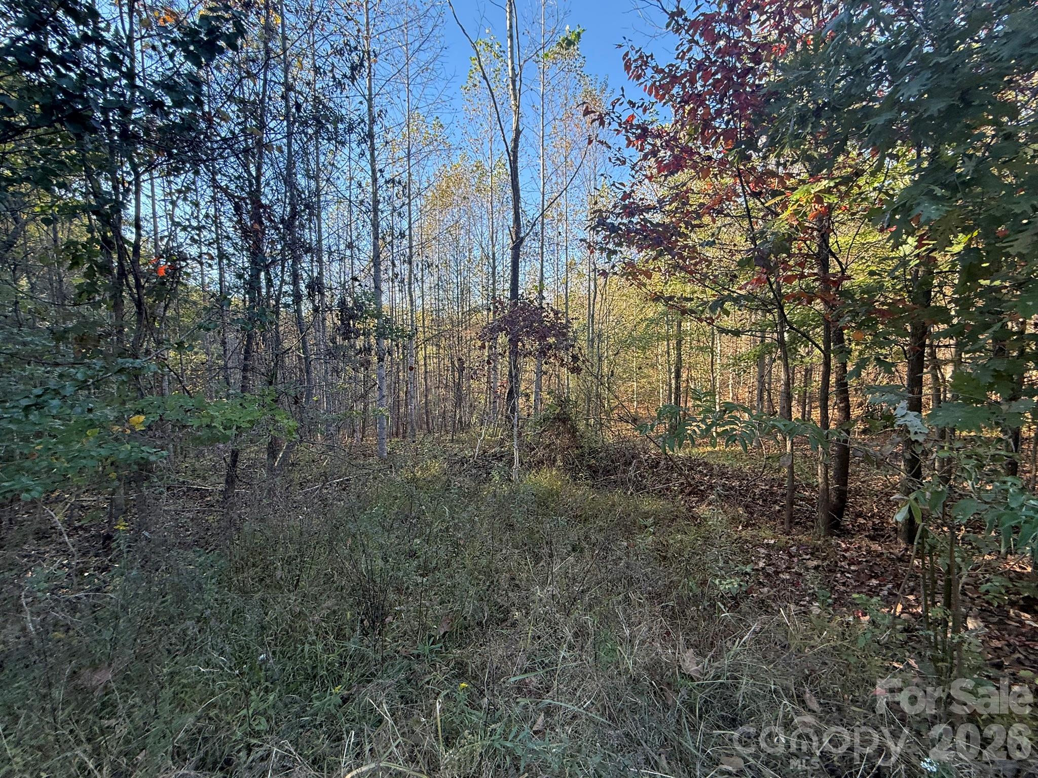 V/l Wild Ridges Lane Property Photo 27
