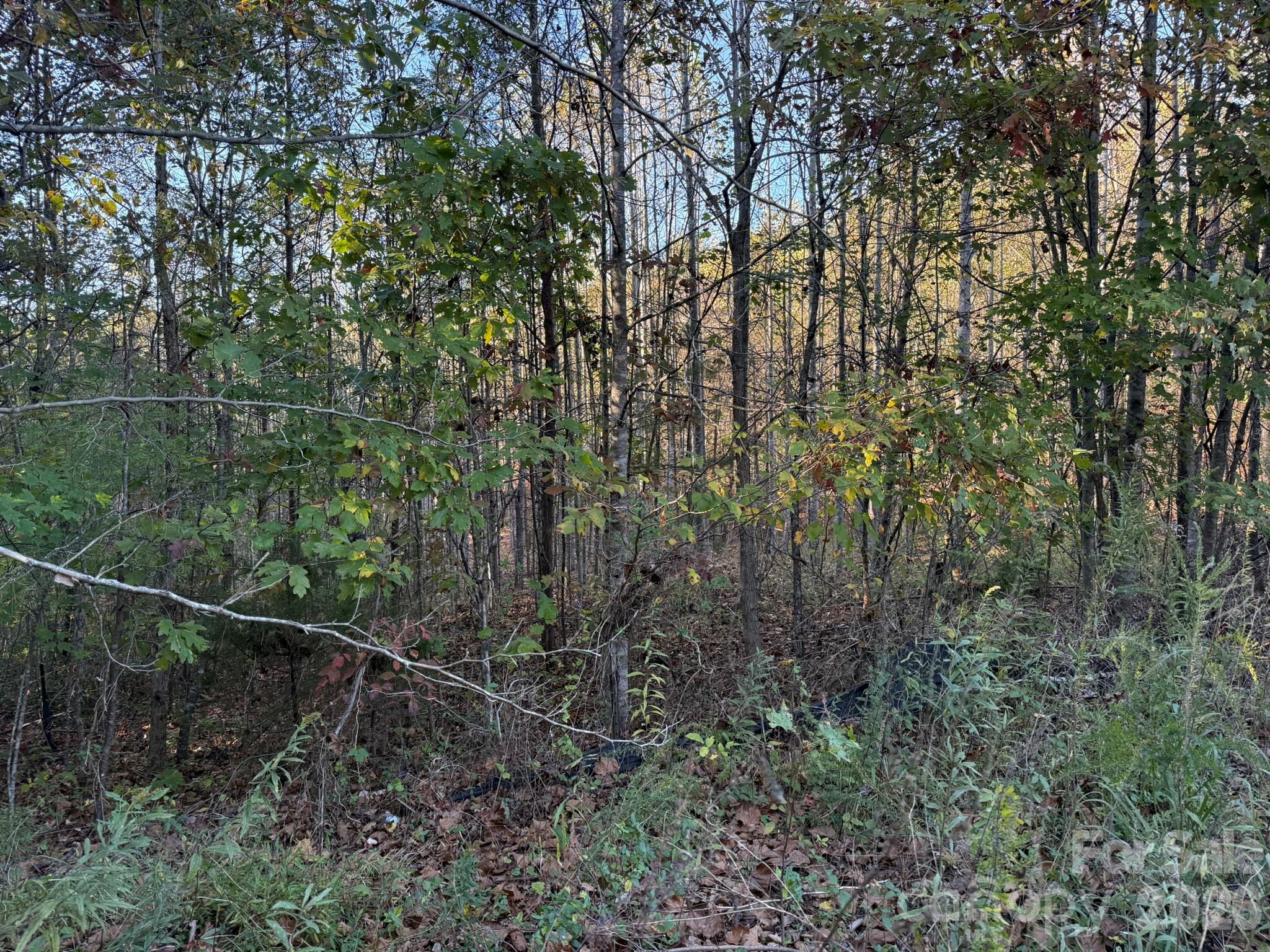 V/l Wild Ridges Lane Property Photo 28